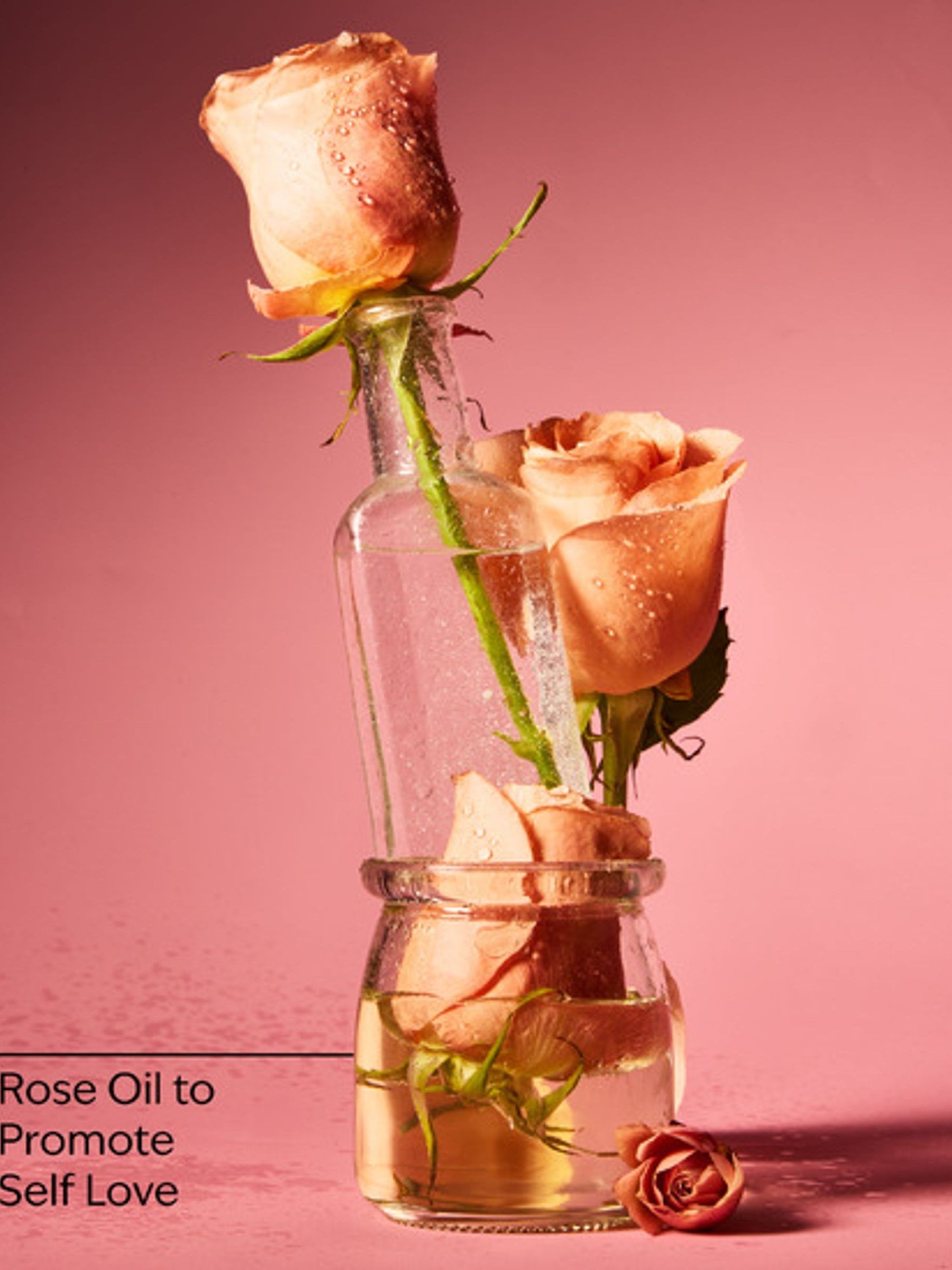 Rose Eau De Parfum 50ml - Image 3 of 3