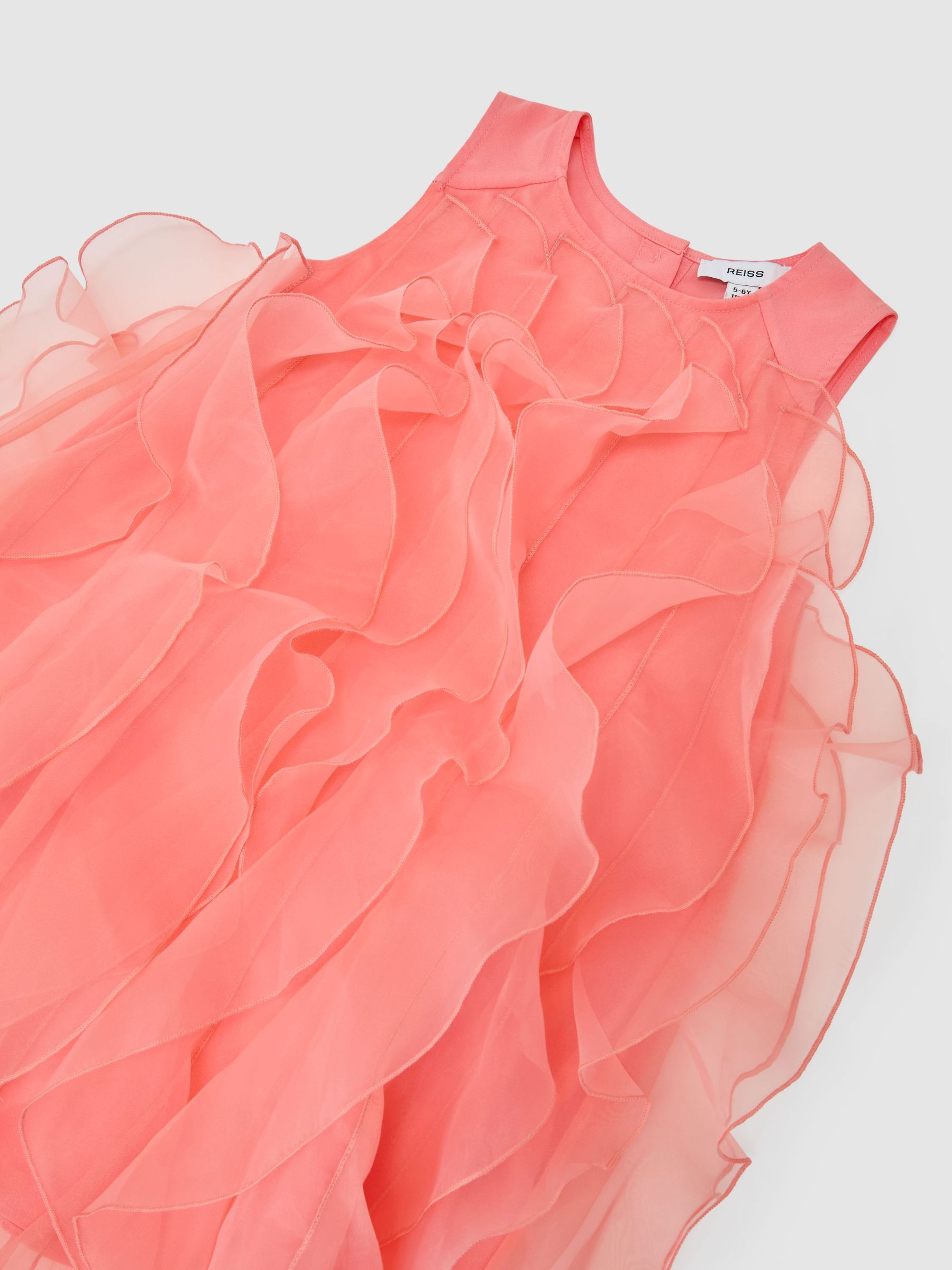 Ruffle-Detail Organza Dress in Coral Pink - Image 1 of 3