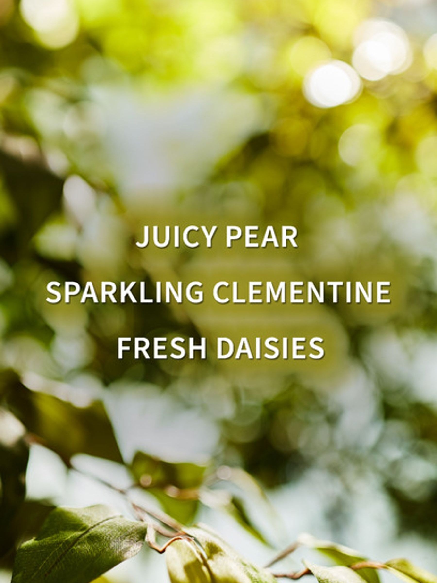 Gingham Fresh Fine Fragrance Mist 236ml - Image 3 of 4
