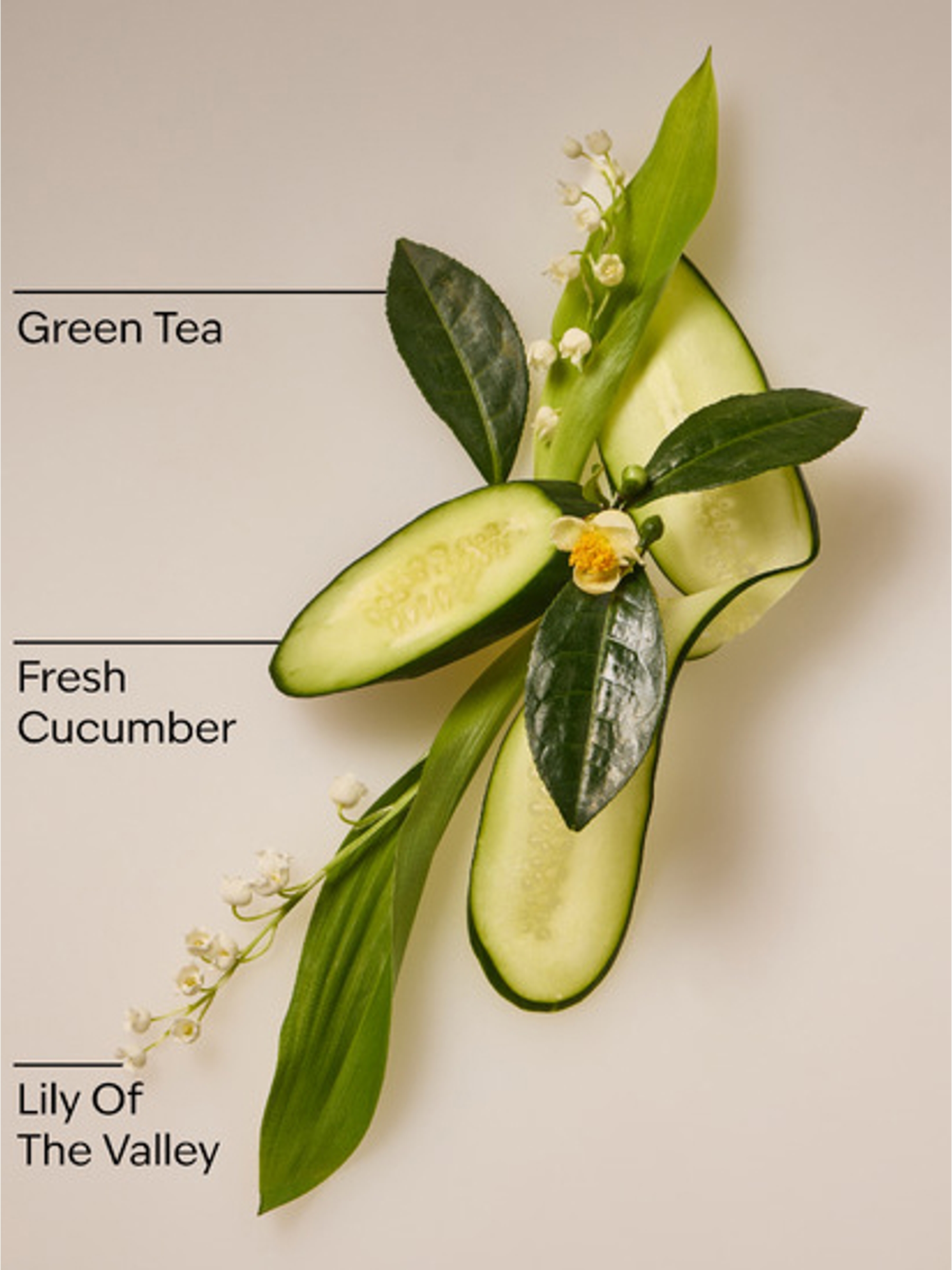 Cucumber and Lily Daily Moisturizing Hand Soap 266ml - Image 3 of 4
