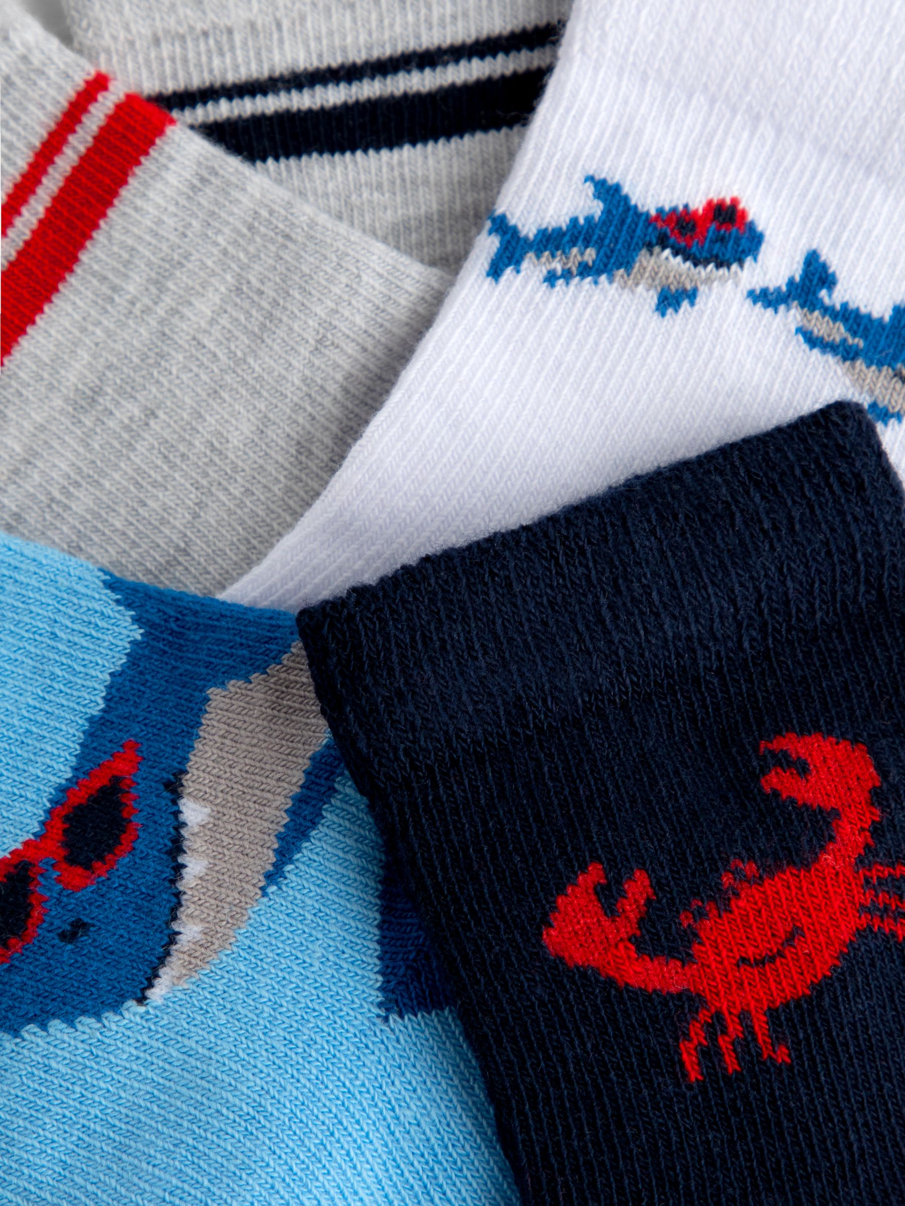 Light Blue 5-Pack Shark Socks - Image 3 of 3
