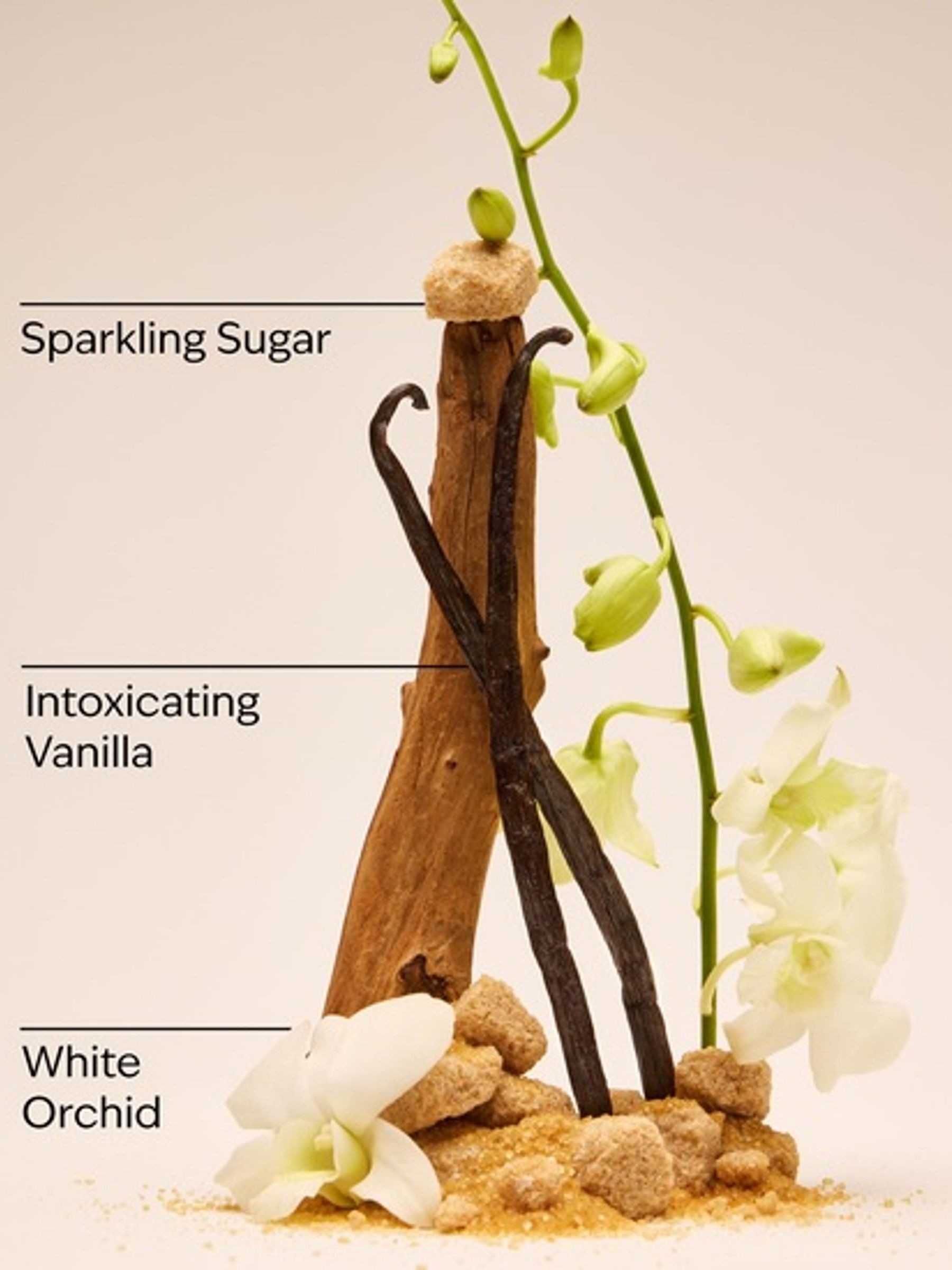 Warm Vanilla Sugar Body Butter 185 G - Image 3 of 3