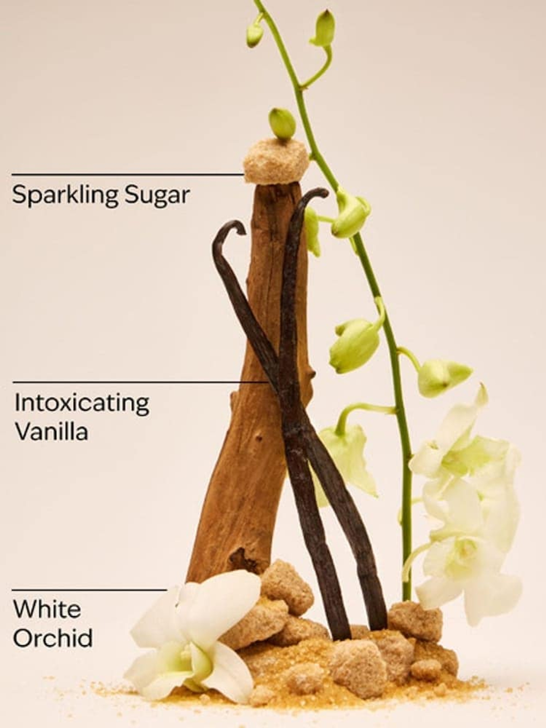Warm Vanilla Sugar Daily Nourishing Body Lotion 236ml - Image 3 of 4