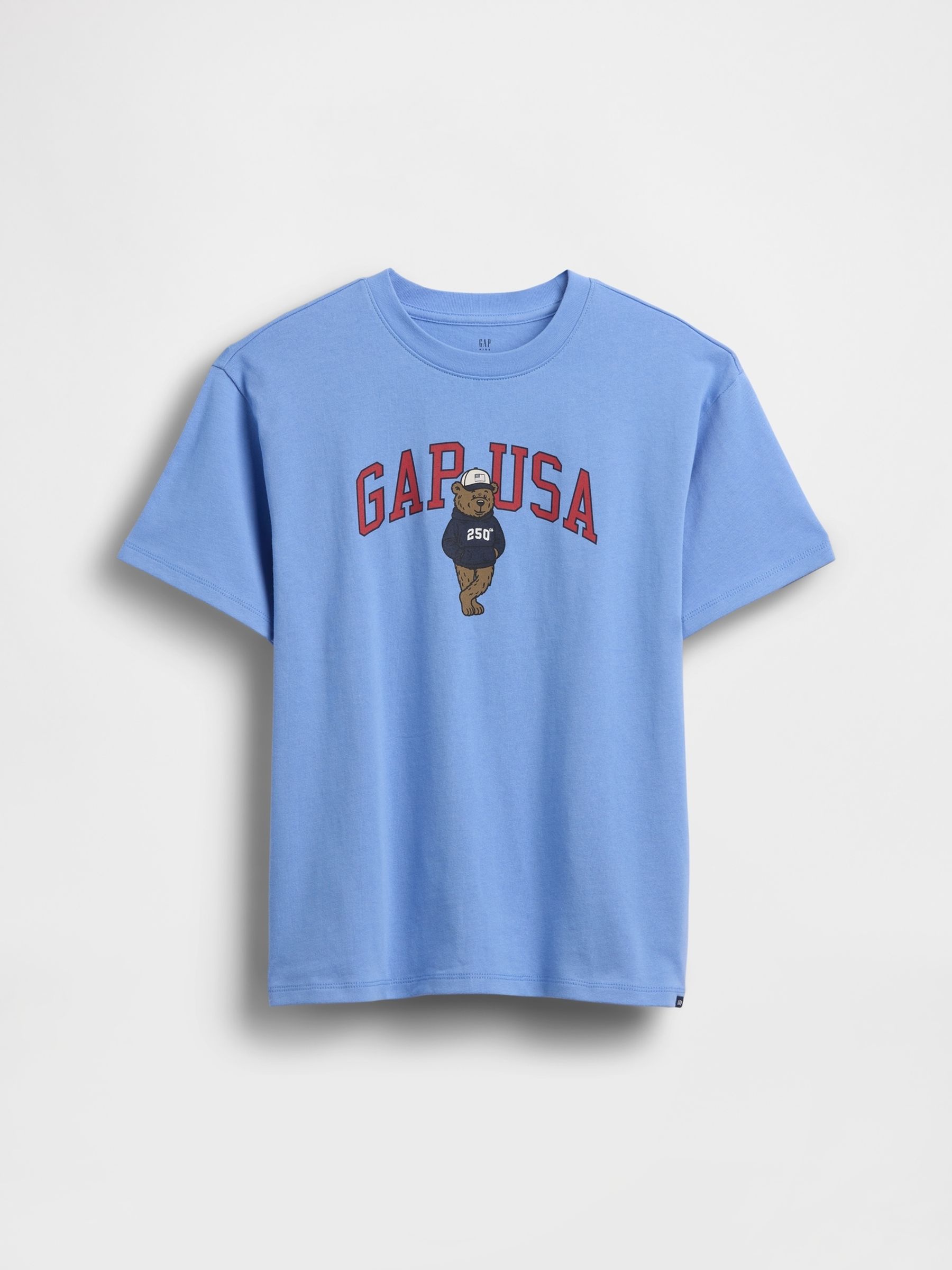 Blue USA Logo Short Sleeve T-Shirt - Image 1 of 3