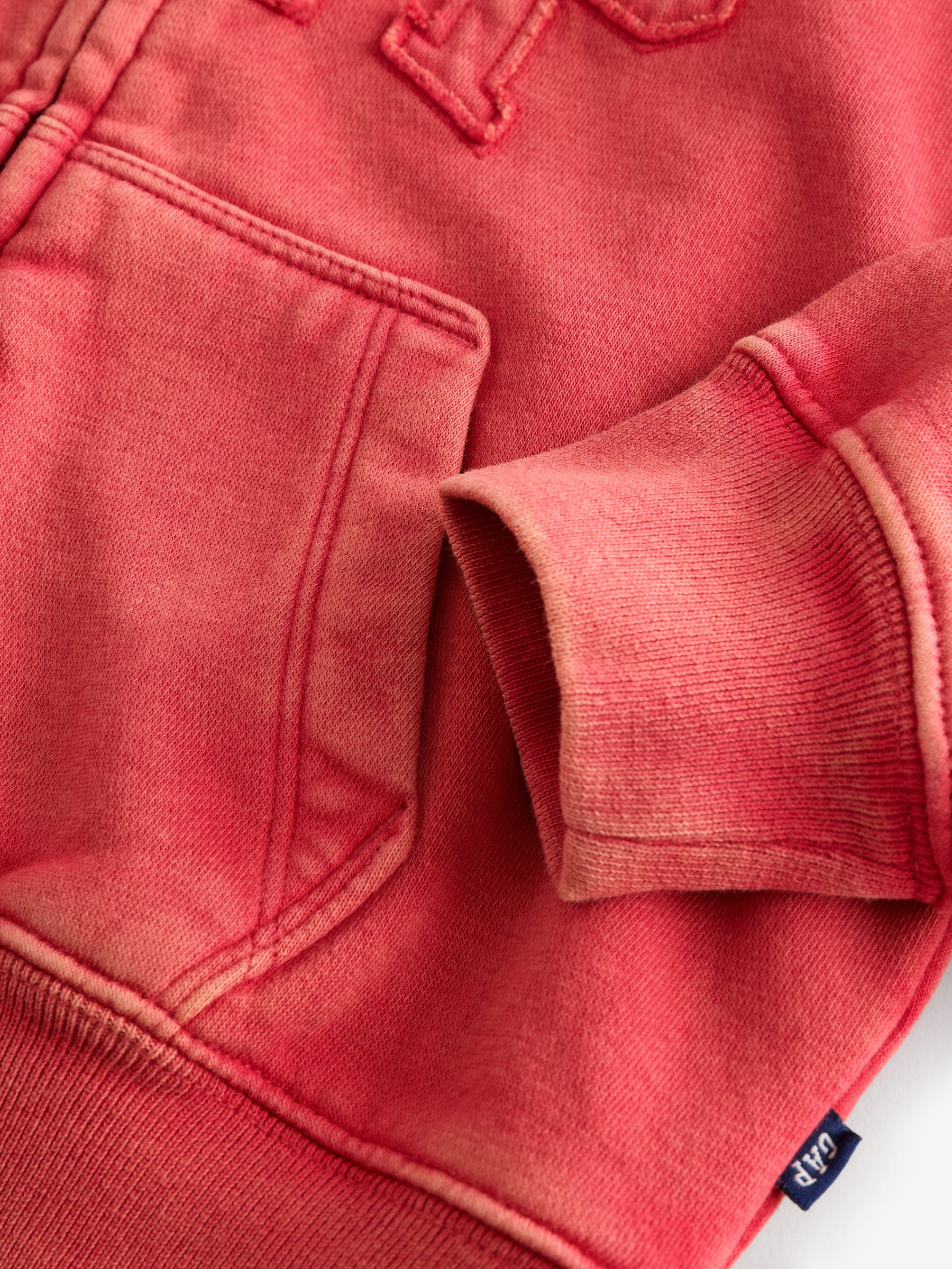 Red Monochrome VintageSoft Relaxed Logo Zip Hoodie - Image 3 of 4
