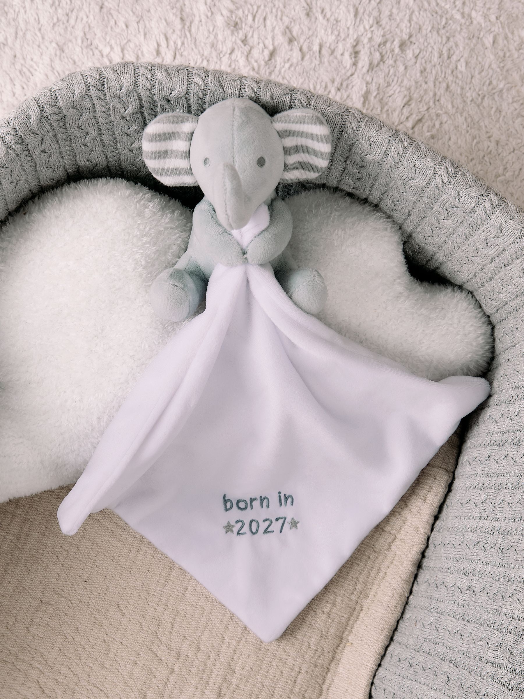 Born In 2027 Comforter - Image 5 of 5