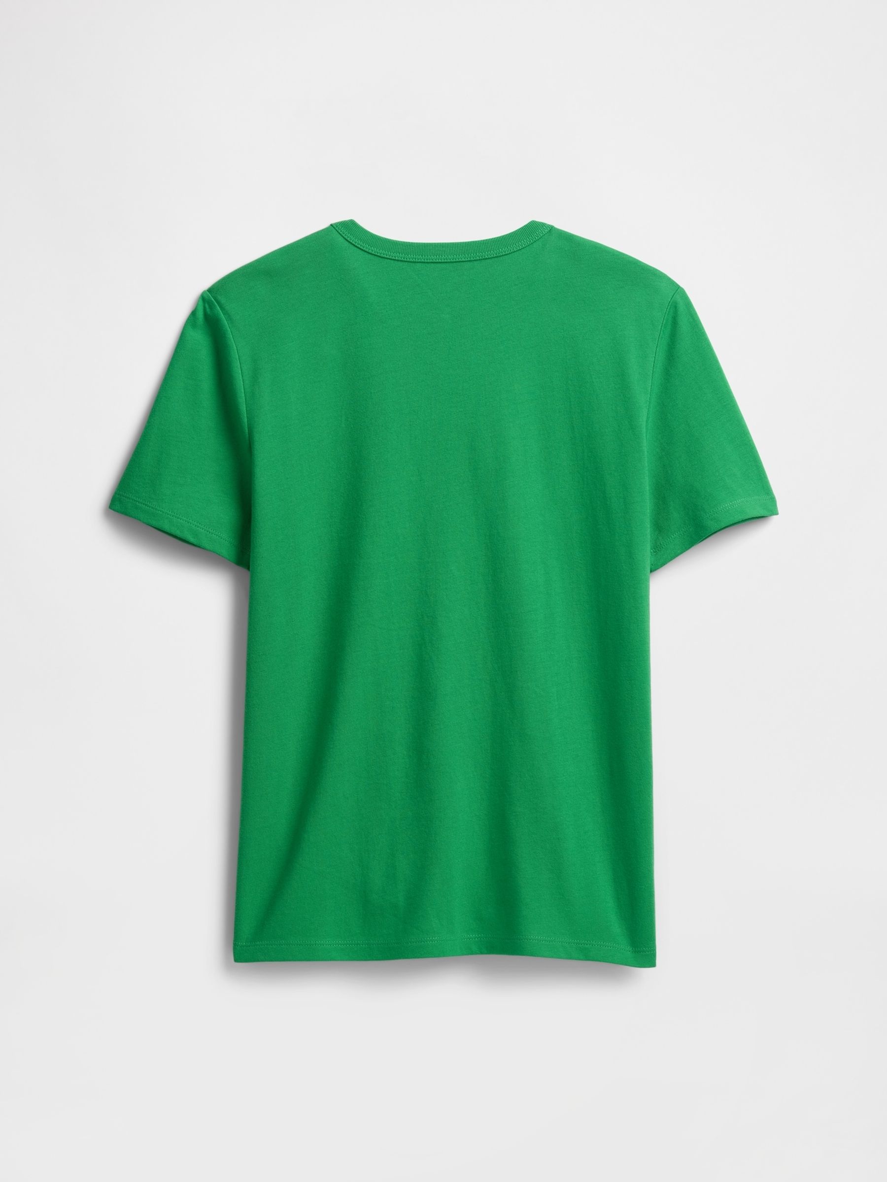 Green Dinosaur Graphic Short Sleeve T-Shirt (4-13yrs) - Image 2 of 3