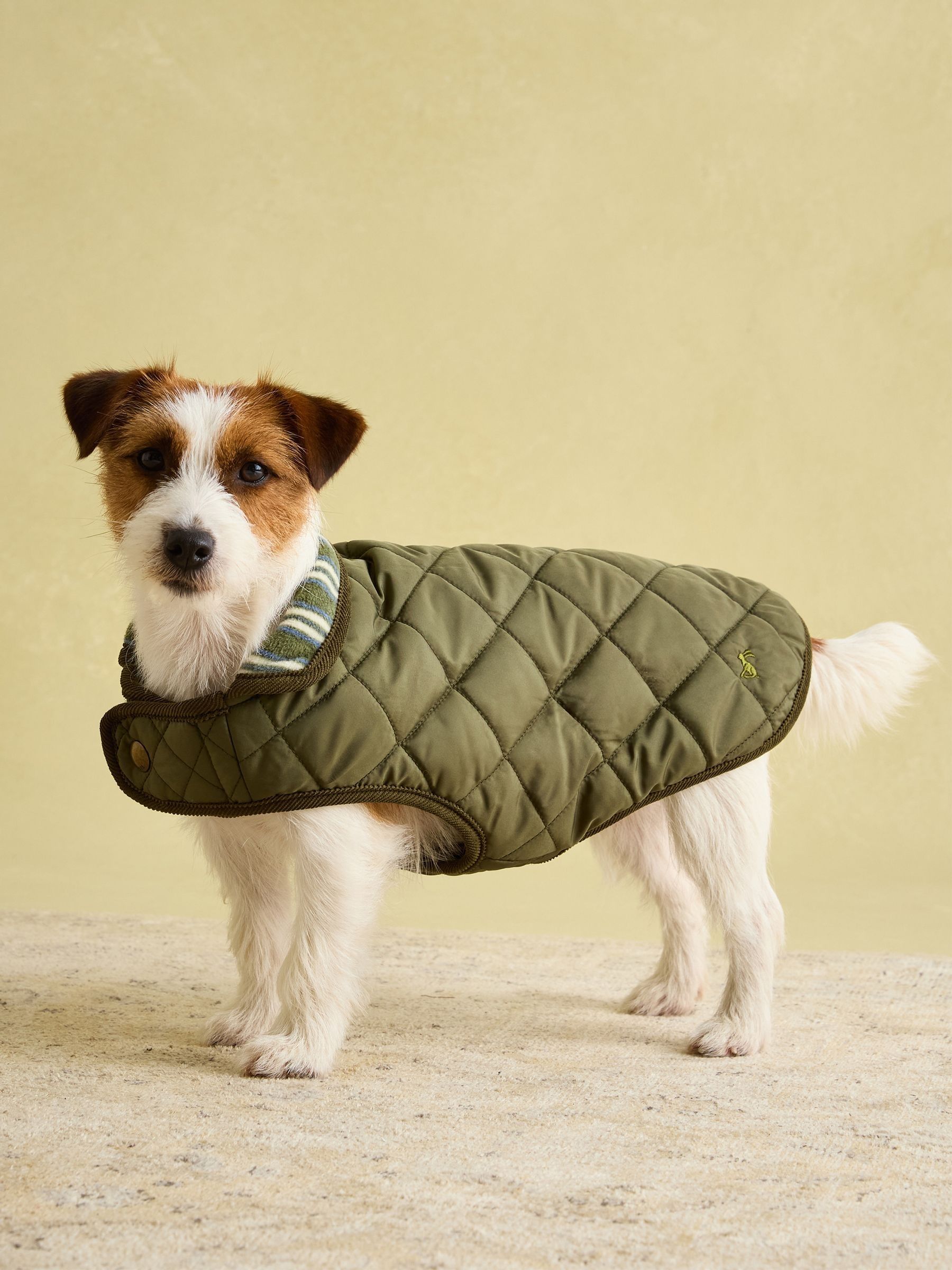 Green Quilted Coat - Image 1 of 6