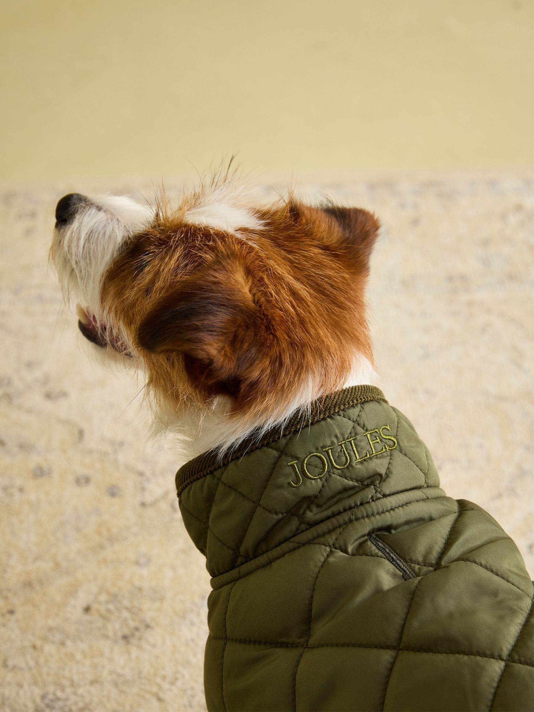 Green Quilted Coat - Image 5 of 6