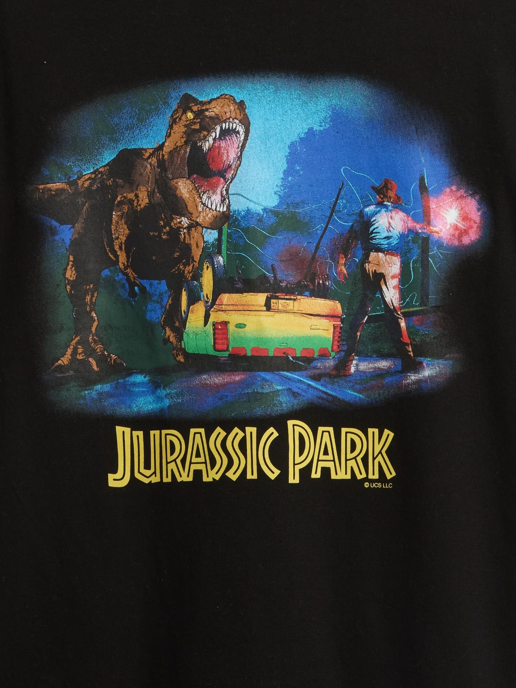 Black Heavyweight Jurassic Park Graphic Short Sleeve T-Shirt (4-13yrs) - Image 2 of 2