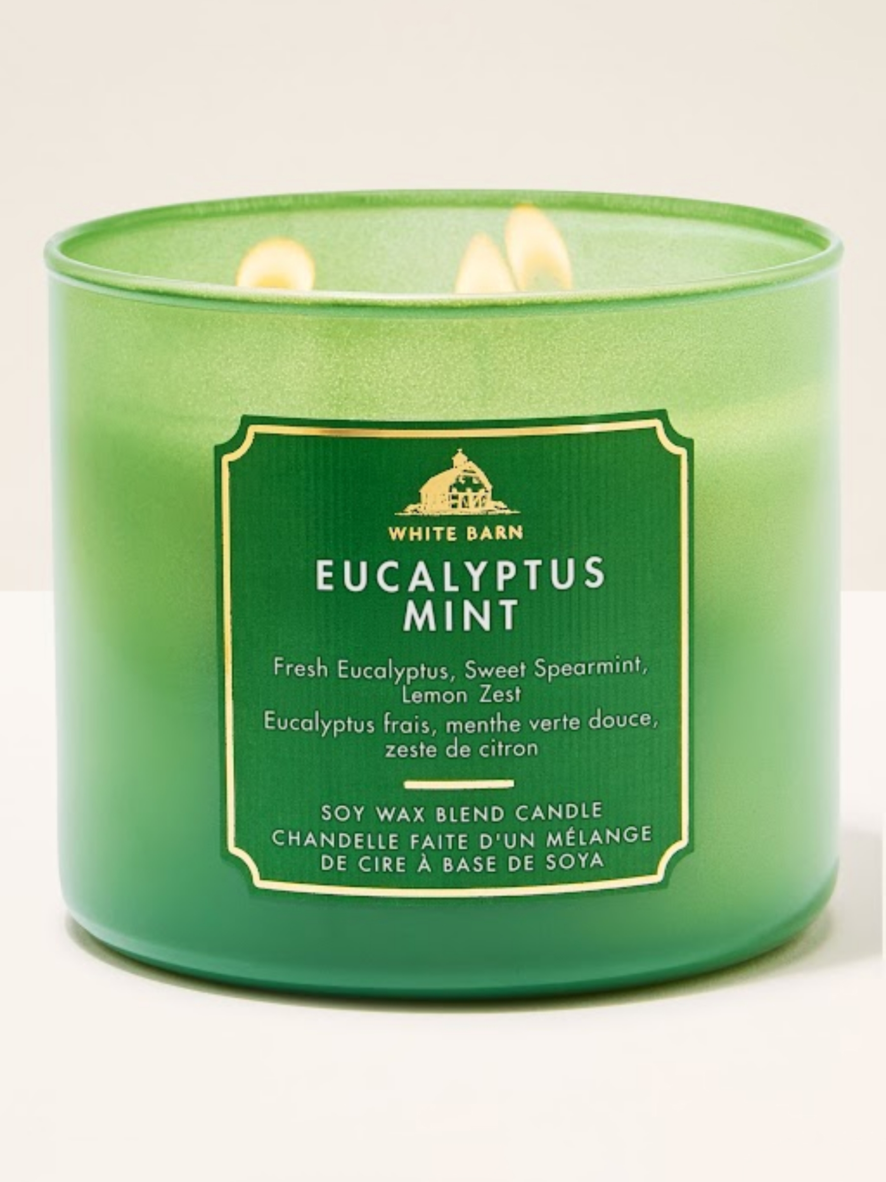 Eucalyptus Mint 3-Wick Candle 411g - Image 1 of 1