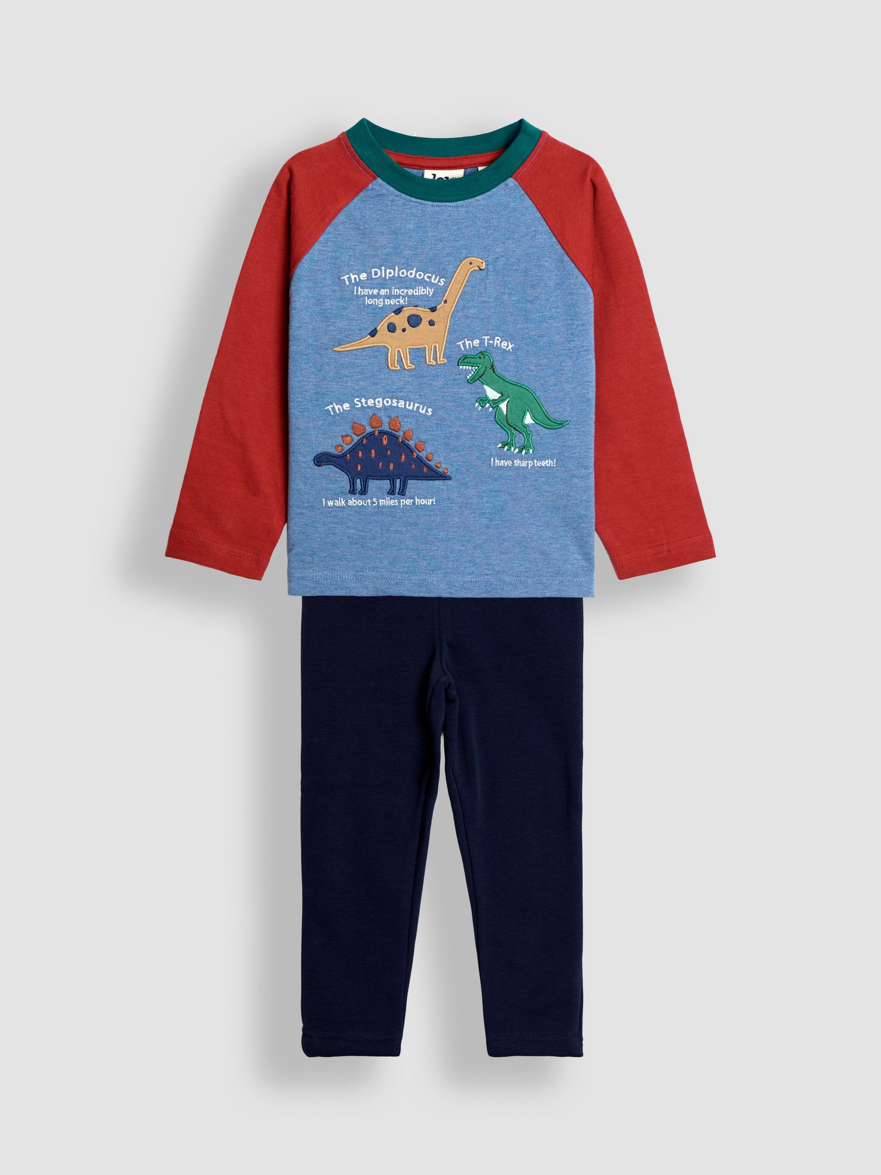 Blue 2-Piece Appliqué Top & Leggings Set - Image 1 of 7