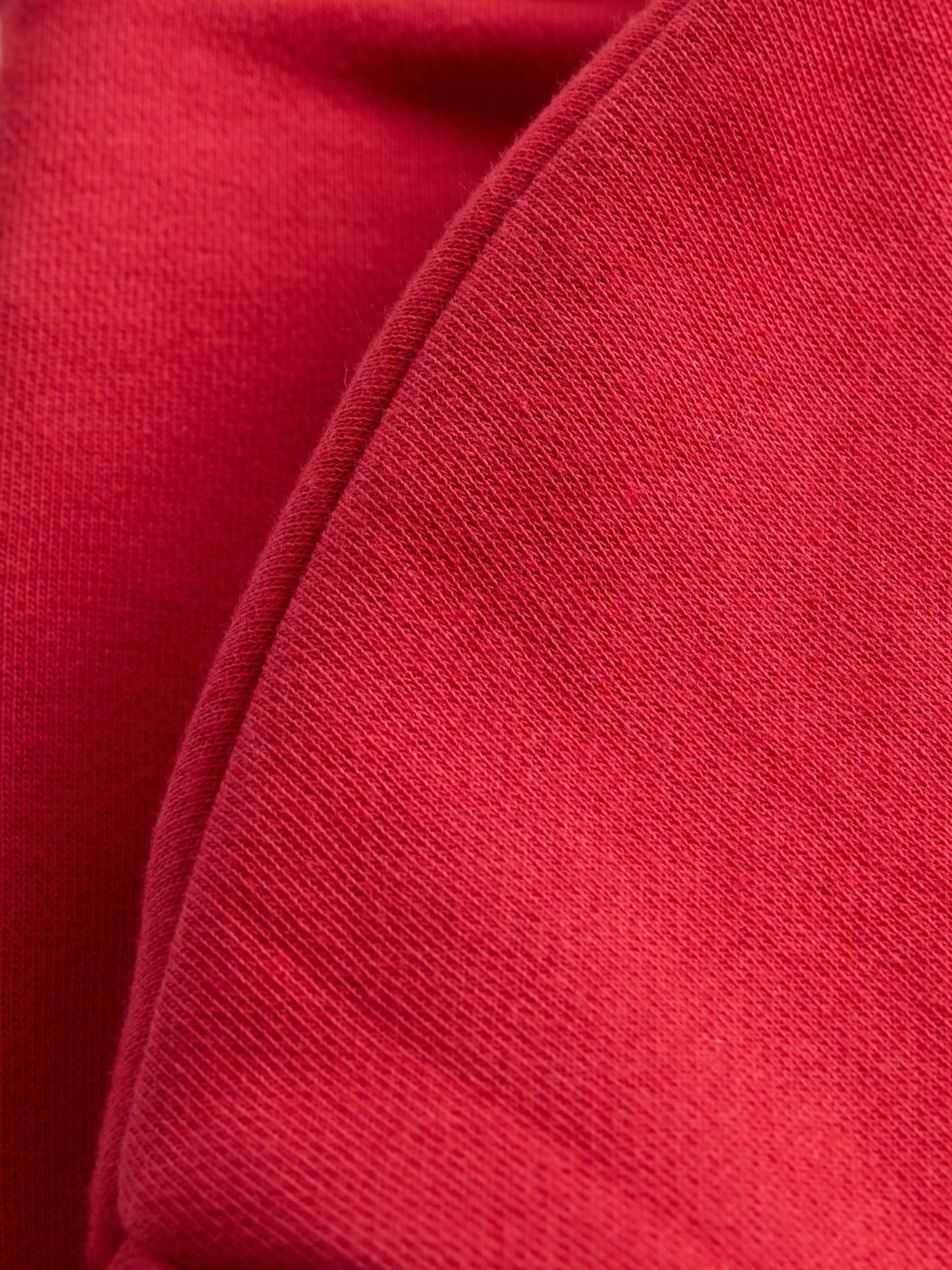 Red VintageSoft Cropped Logo Zip Hoodie (4-13yrs) - Image 5 of 5