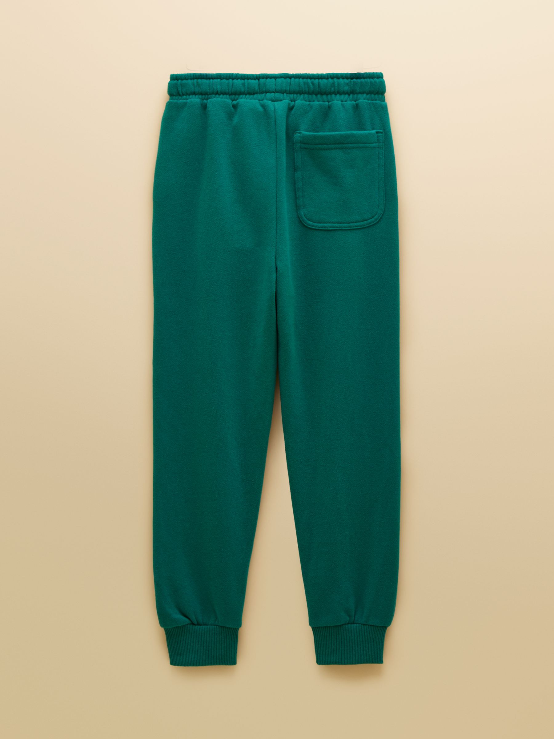 Teal Blue Boys' Cuffed Jogger - Image 2 of 4