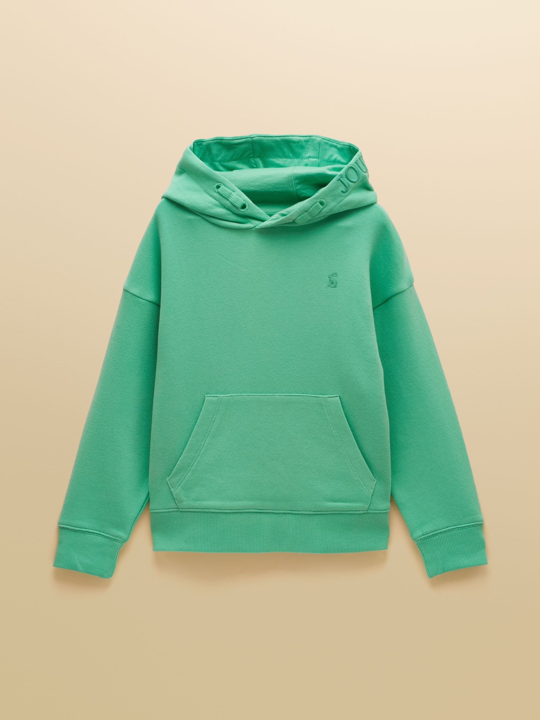 Kids' Parkside Turquoise Blue Cotton Sweatshirt with Hood - Image 1 of 5