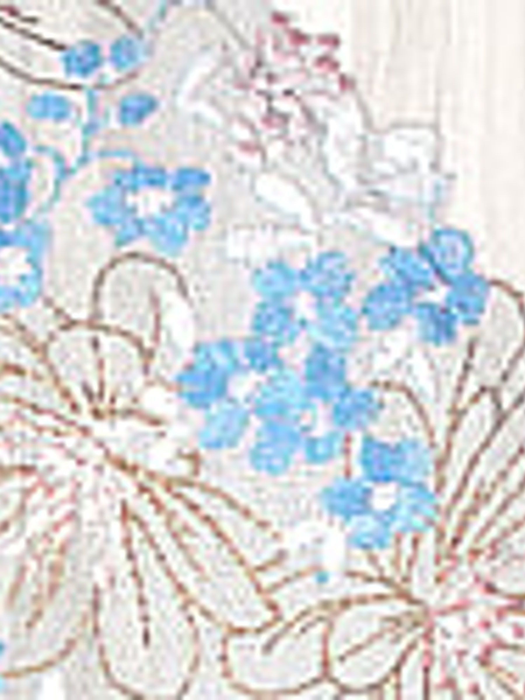 Blue Wildflower Pleated Babydoll Set - Image 4 of 4