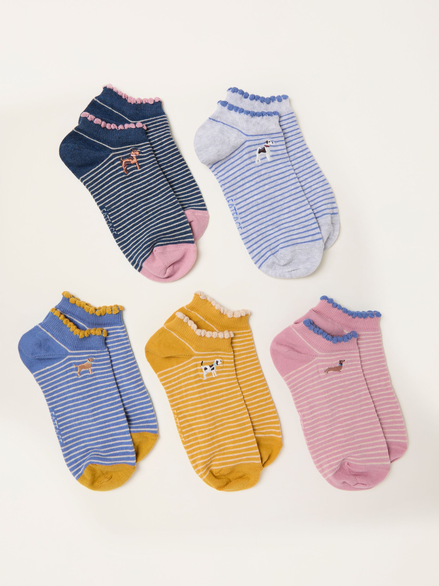 Multi Dog 5 Pairs of Trainer Socks - Image 2 of 2