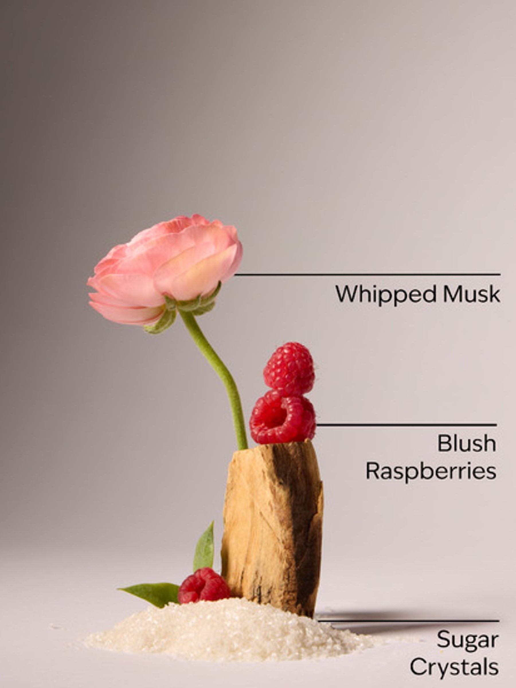 Sweetest Song Ultimate Hydration Body Cream 226g - Image 2 of 2