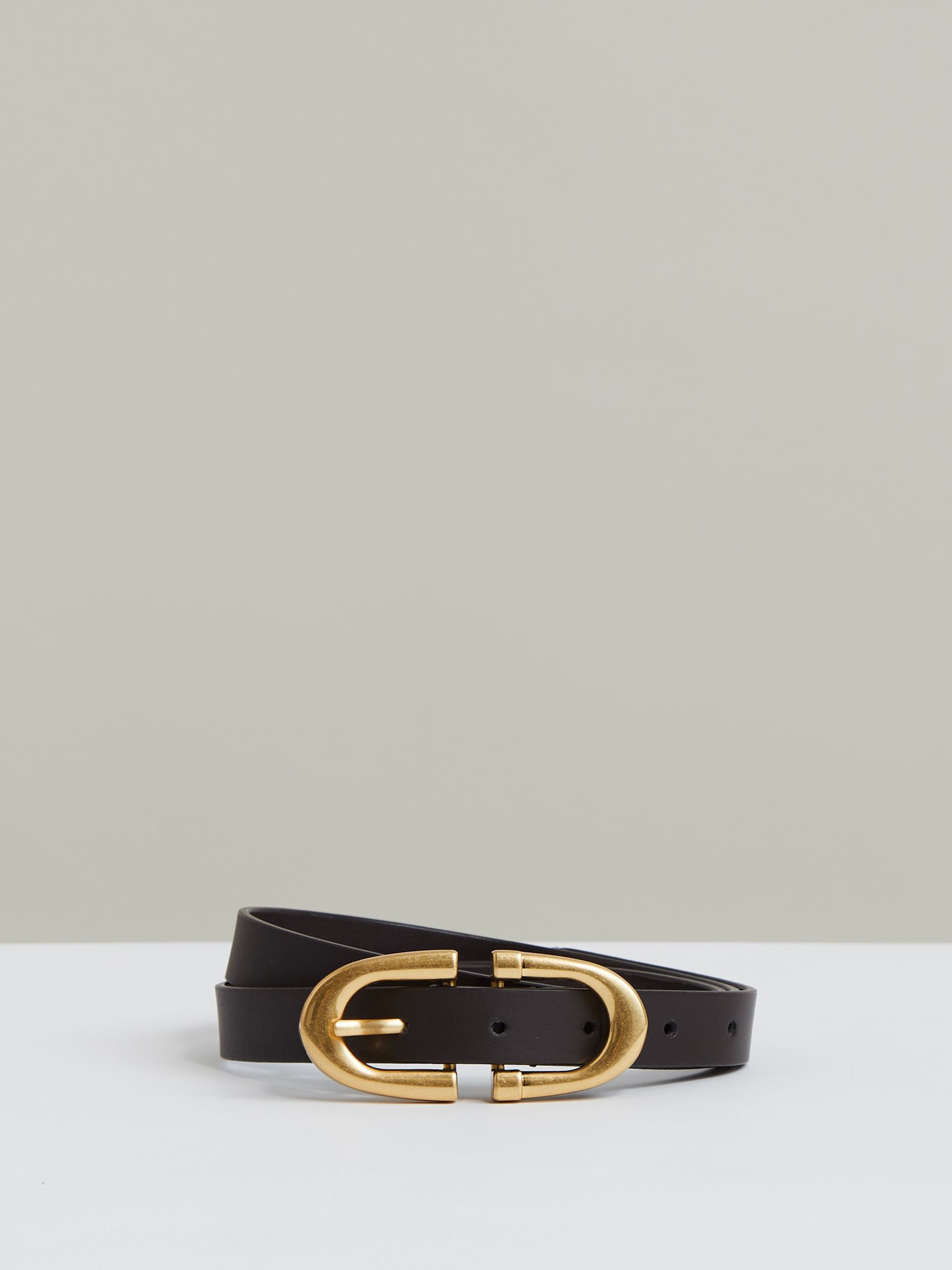 Horseshoe Belt in Chocolate - Image 1 of 4