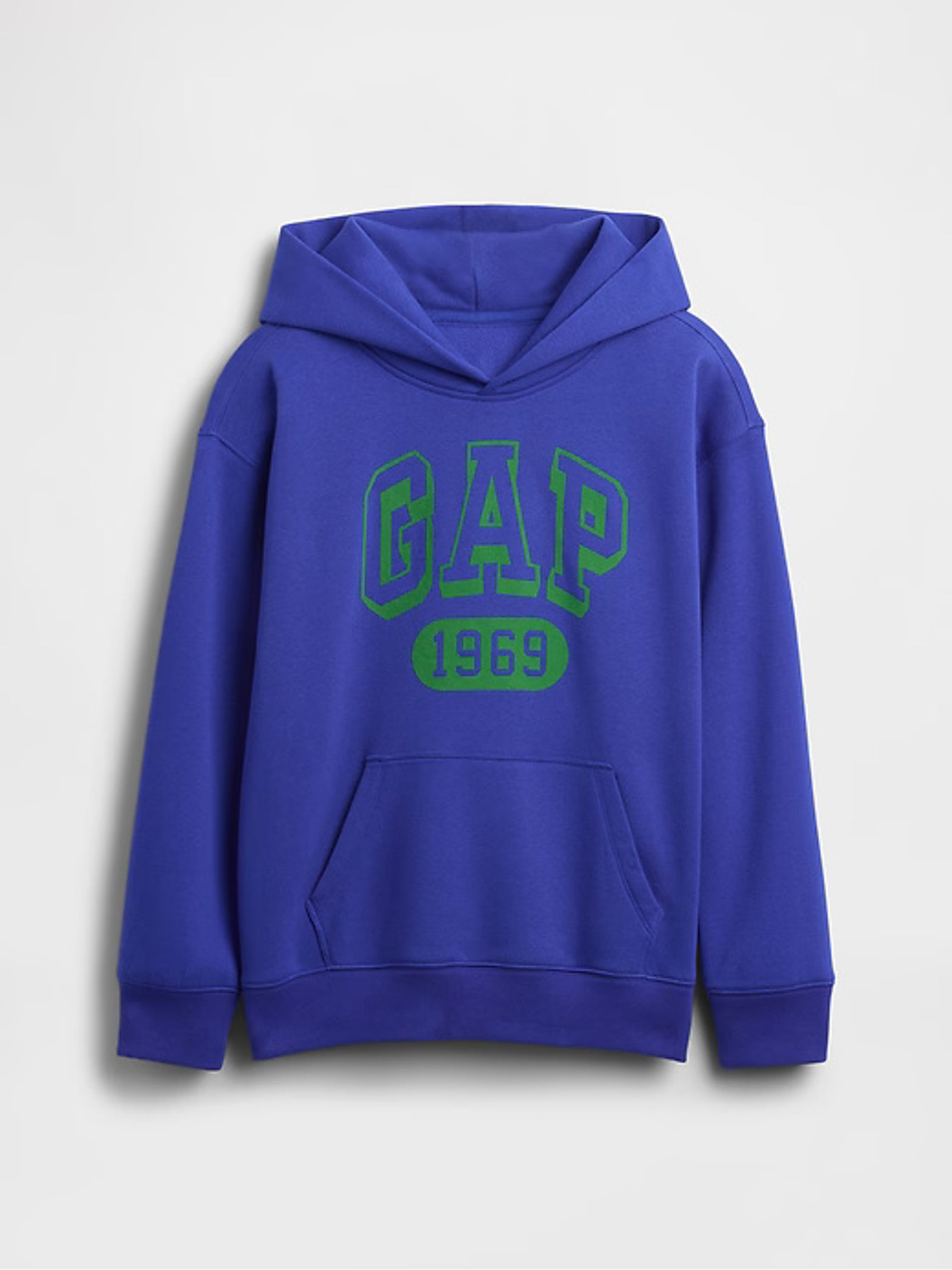 Blue/Green Vintage Soft Logo Hoodie - Image 5 of 6