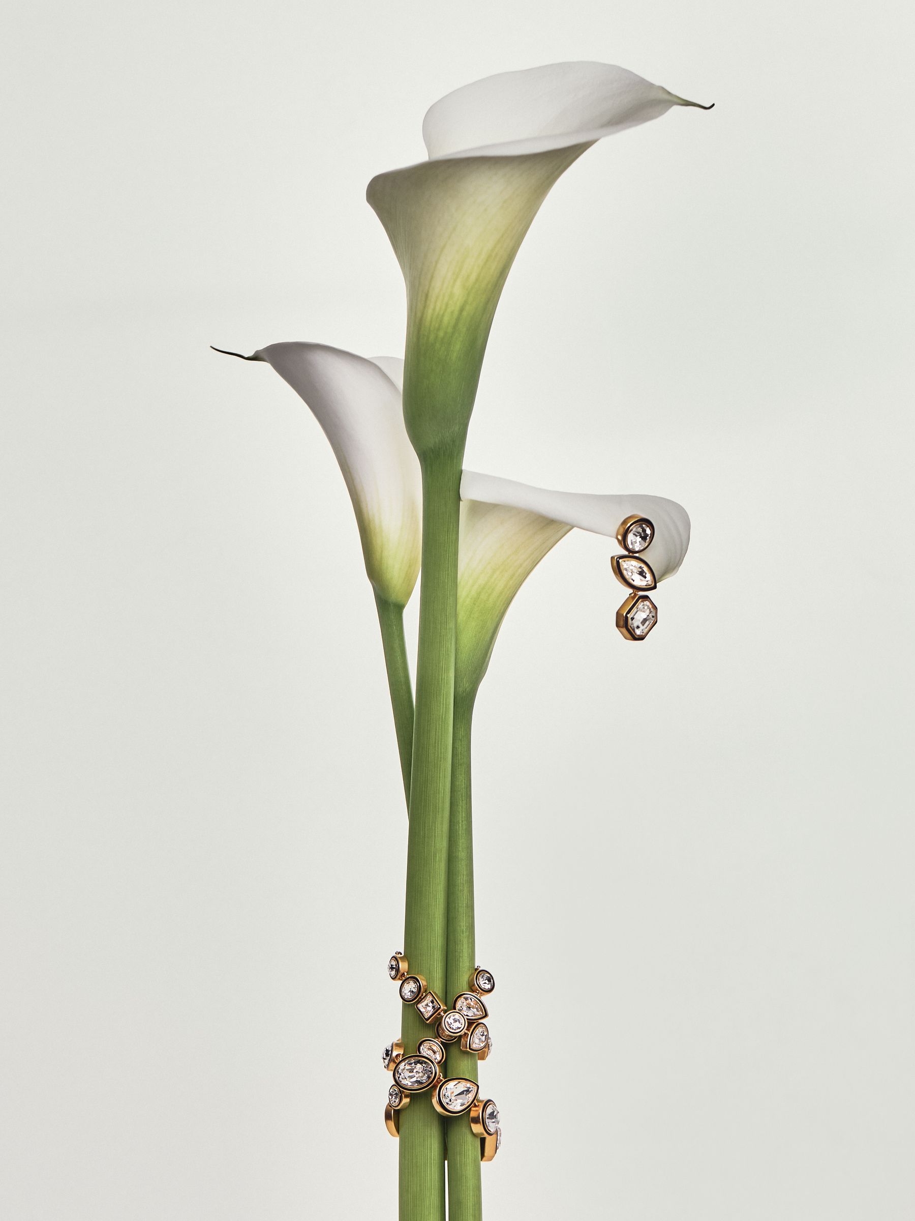 Tone Crystal Drop Earrings in Gold - Image 4 of 5