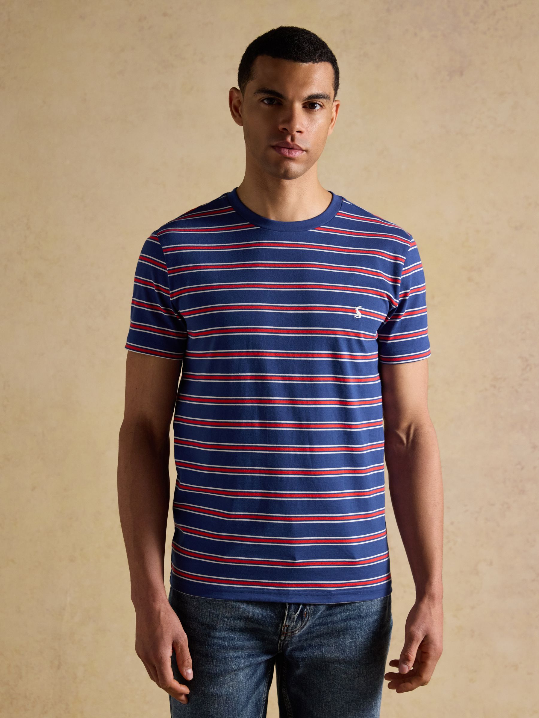 Navy & Red Stripe Classic Fit Cotton T-Shirt - Image 1 of 6