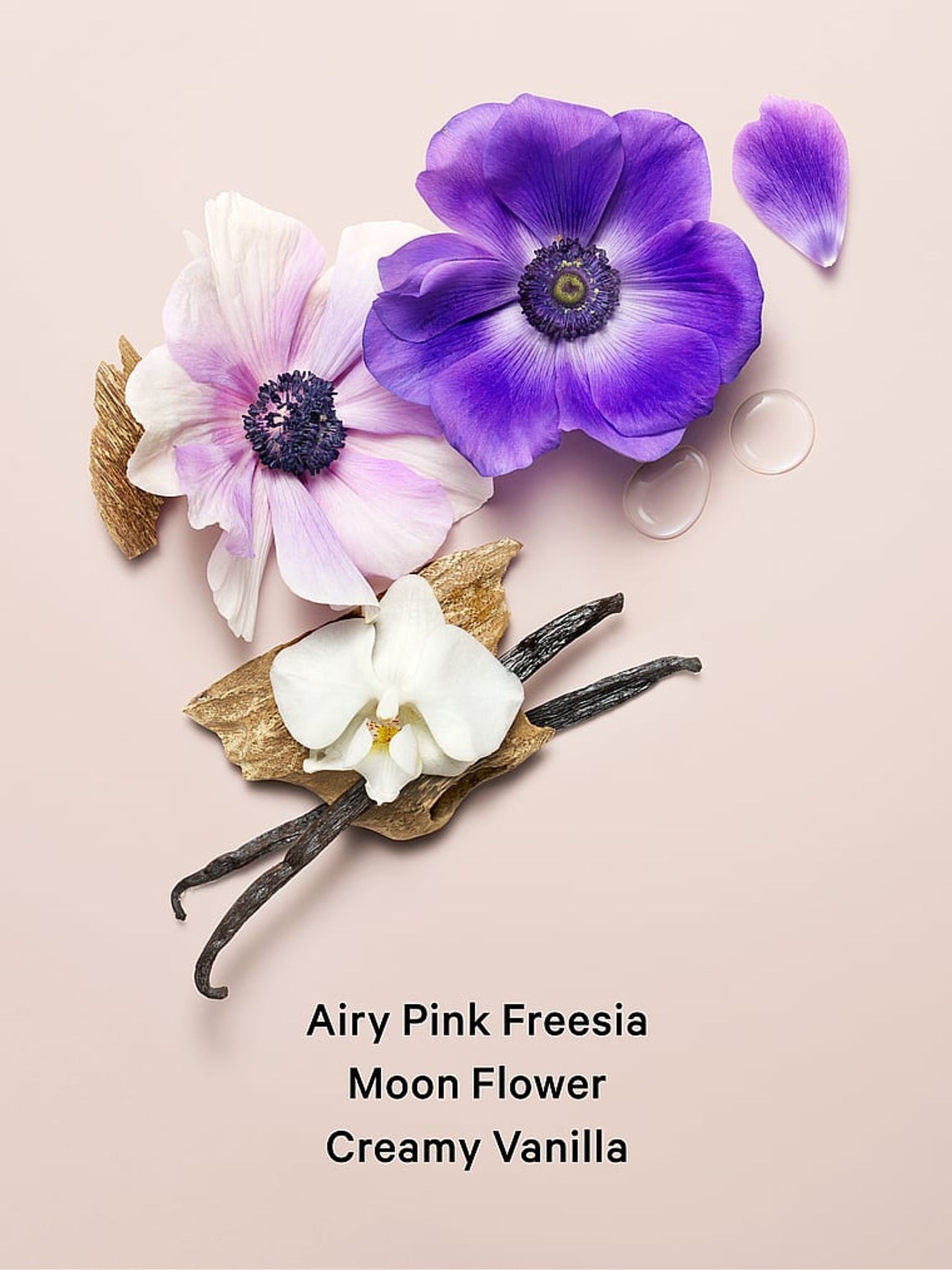 Midnight Bloom Body Lotion - Image 2 of 3