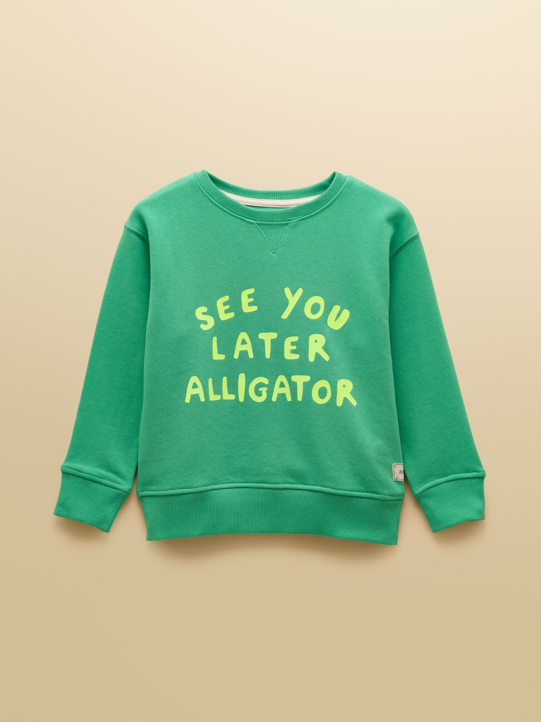Kids' Sundaze Bright Green Slogan Crew Neck Sweatshirt - Image 1 of 4 Kids' Sundaze Bright Green Slogan Crew Neck Sweatshirt - Image 1 of 4