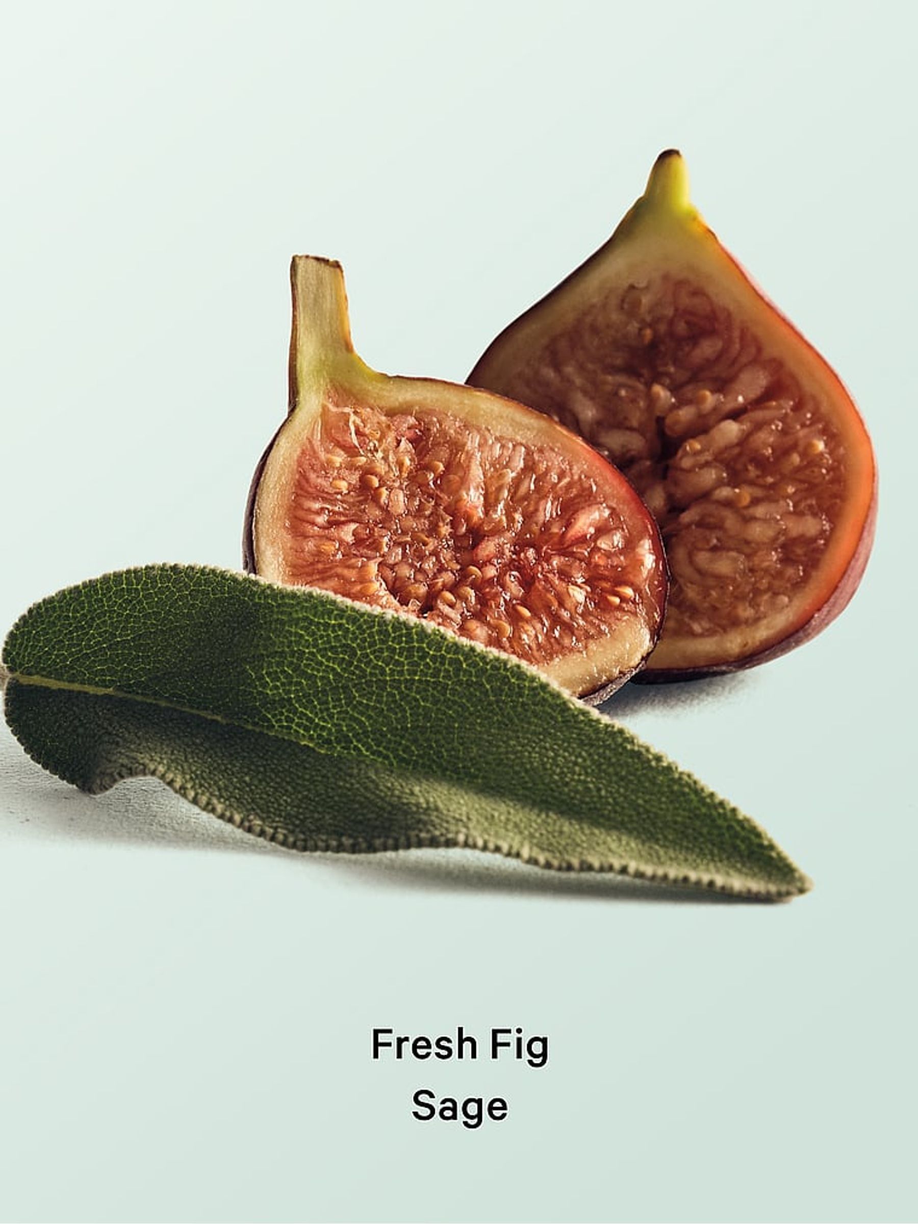 Fresh Fig Sage Hair & Body Mist - Image 2 of 2