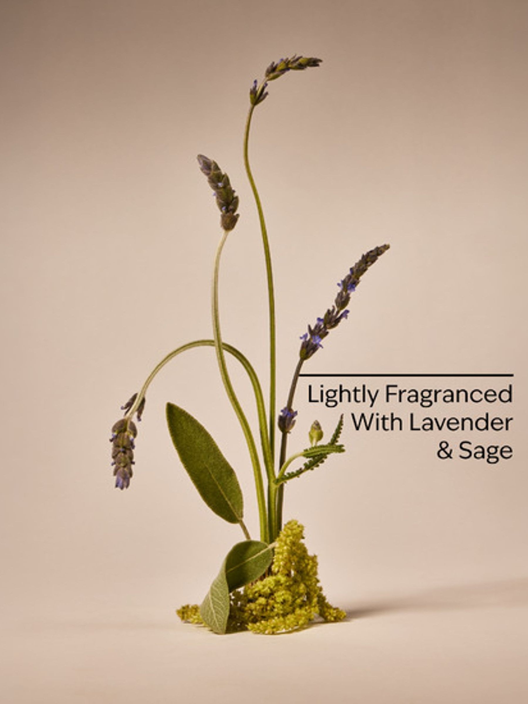 Lavendar & Sage Shea Butter Cleansing Bar 141 g - Image 2 of 2