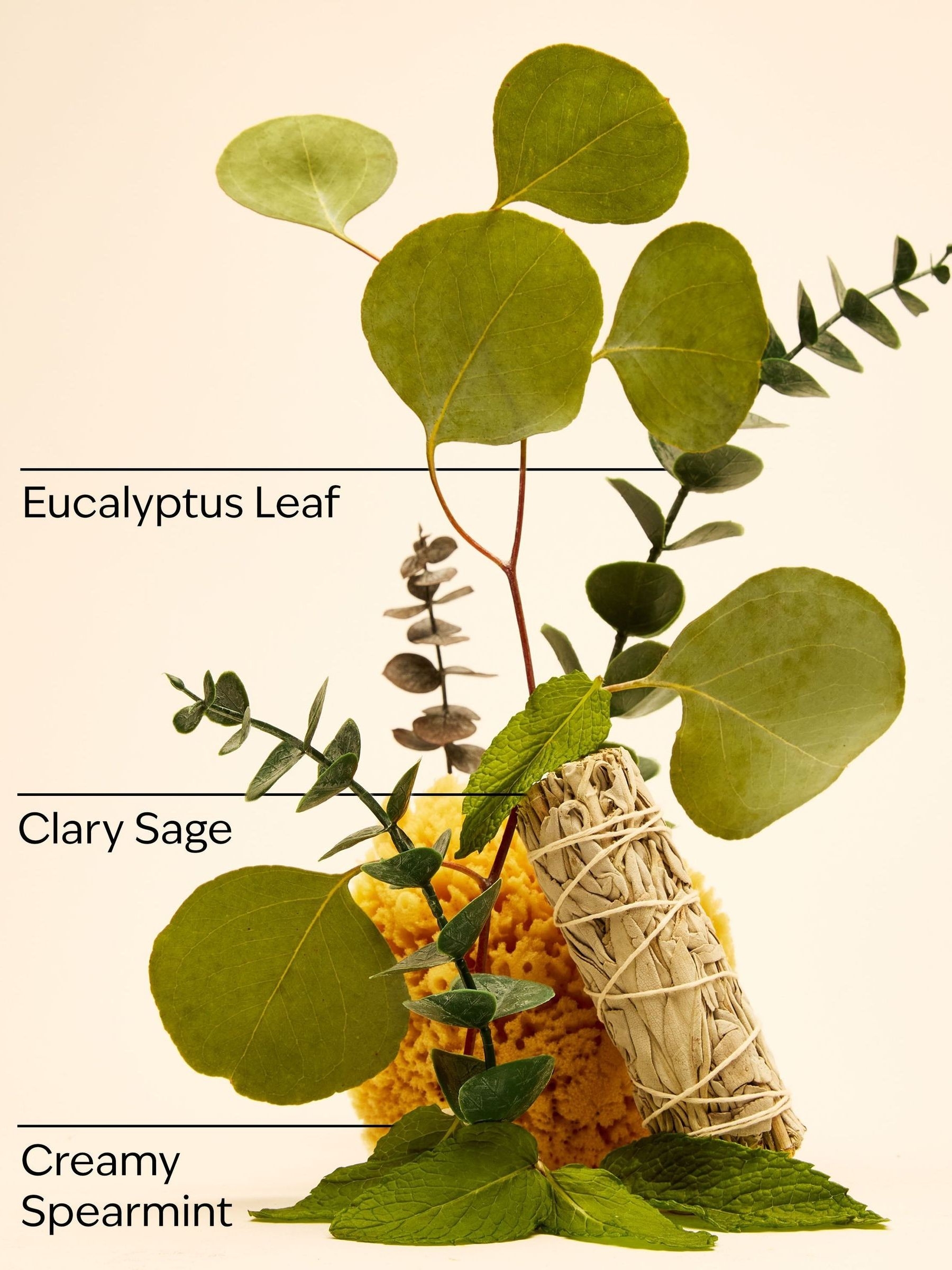 Eucalyptus Spearmint Hand Cream 29ml - Image 2 of 2