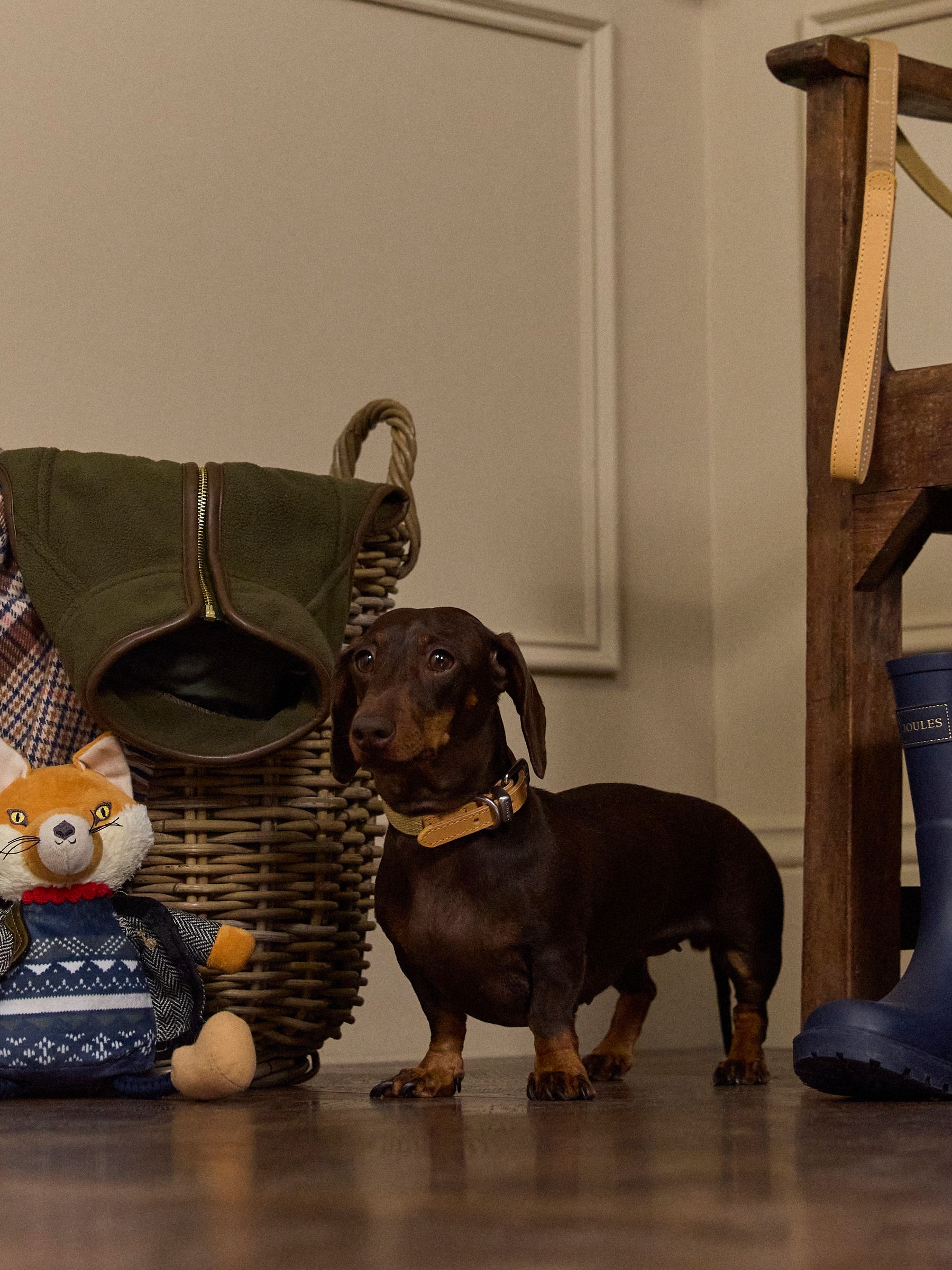 Tan Brown Pet Collar - Image 2 of 8