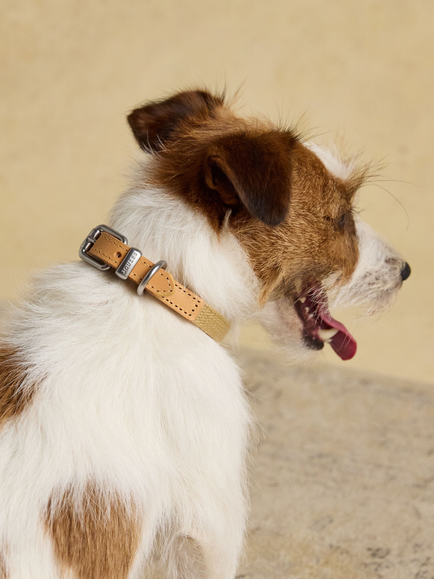 Tan Brown Pet Collar - Image 4 of 8
