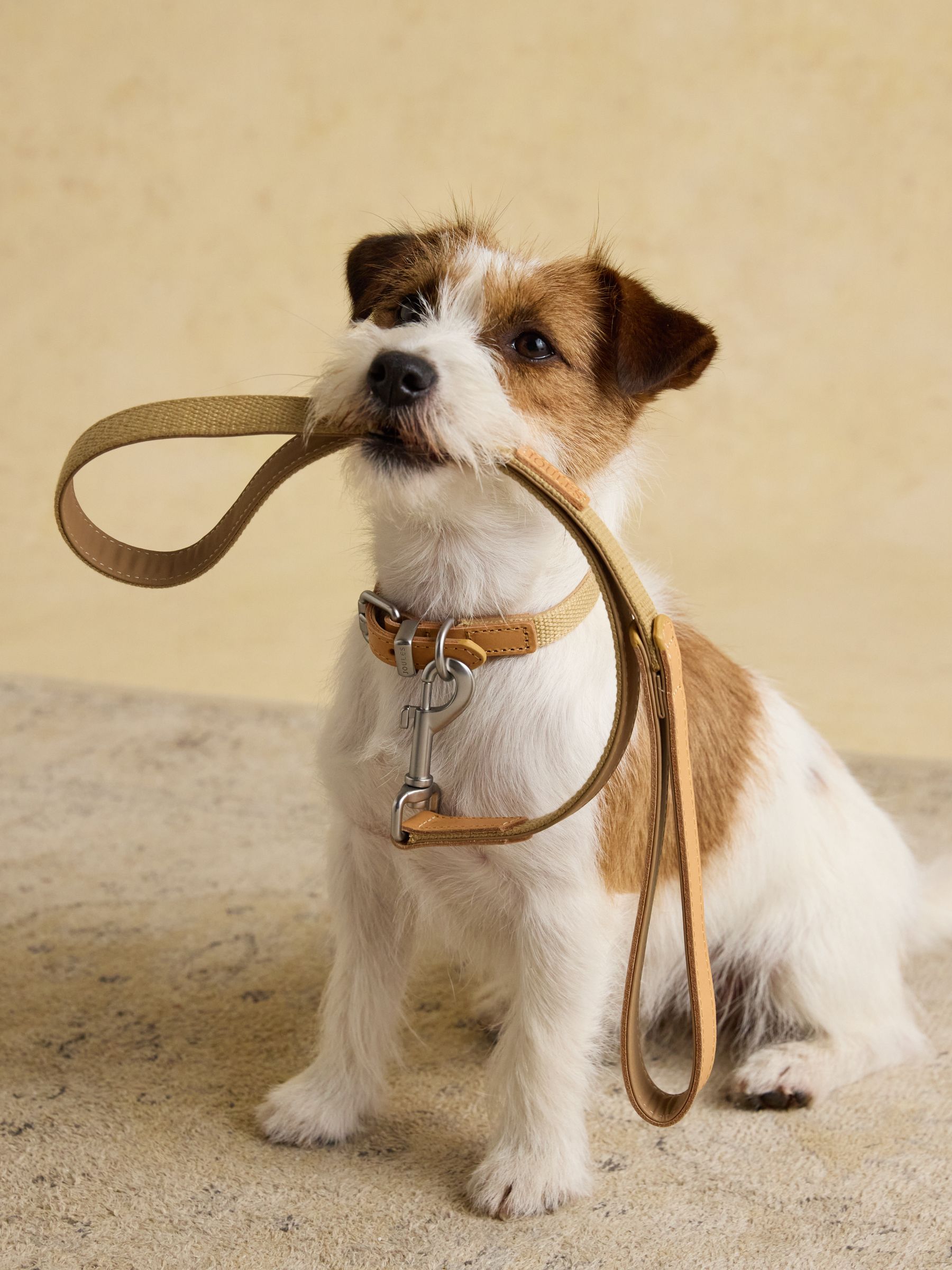 Tan Brown Pet Lead - Image 1 of 5