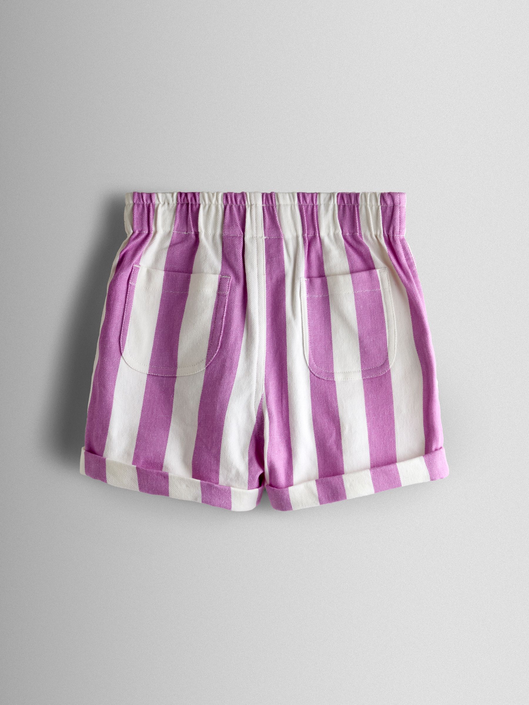 Lilac Purple Stripe Embroidered Twill Paperbag Shorts - Image 2 of 3