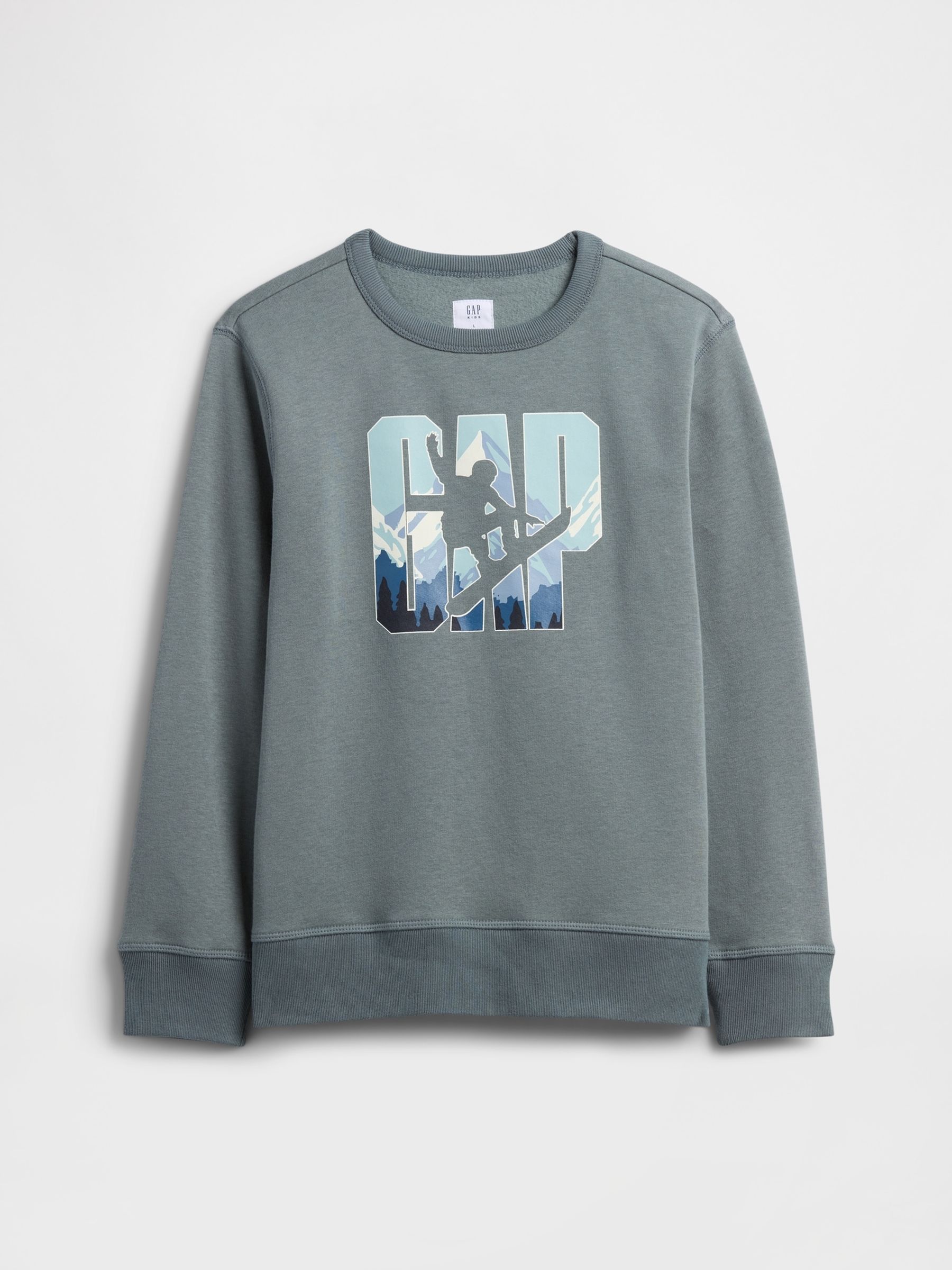 Grey Crew Neck Graphic Sweatshirt (4-13yrs) - Image 1 of 2 Grey Crew Neck Graphic Sweatshirt (4-13yrs) - Image 1 of 2