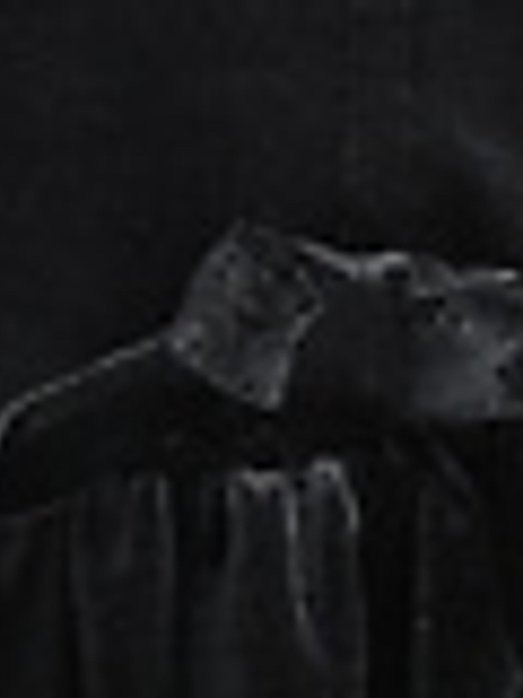 Black Velour Bow Top (6mths-5yrs) - Image 5 of 5 Black Velour Bow Top (6mths-5yrs) - Image 5 of 5