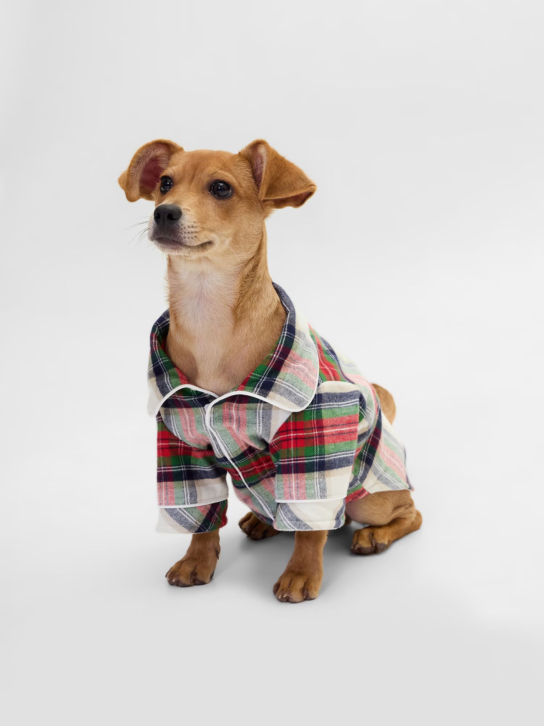 White Flannel Pet Pyjamas - Image 1 of 2