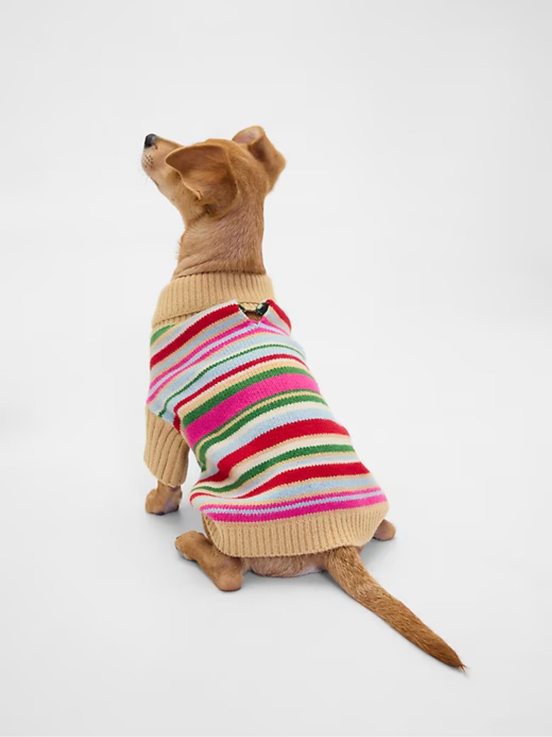 Pink Stripe Pet CashSoft Jumper - Image 2 of 4