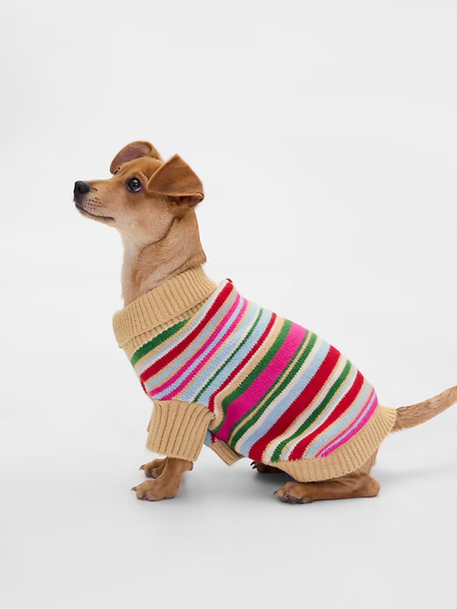 Pink Stripe Pet CashSoft Jumper - Image 3 of 4