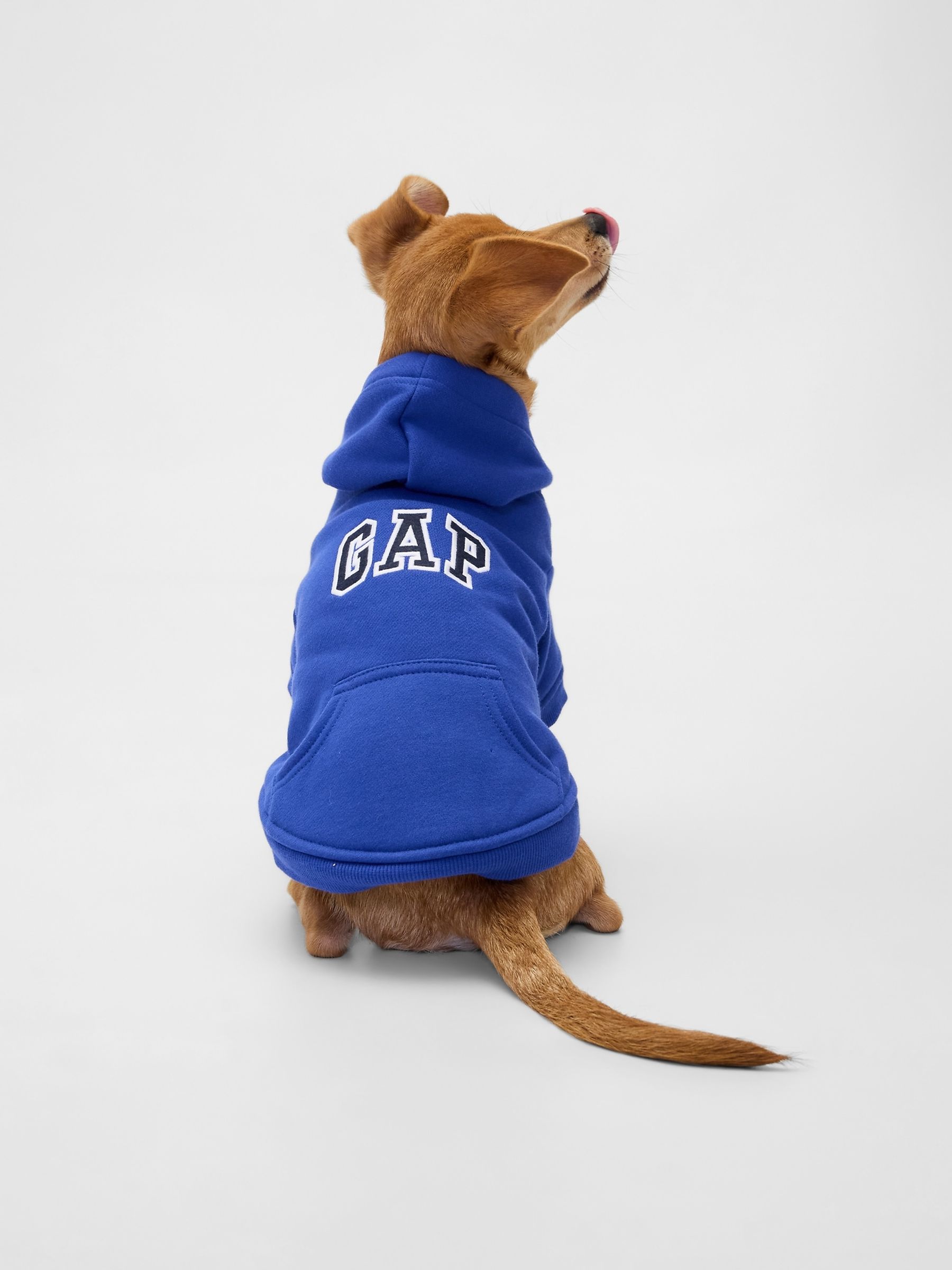 Blue Logo Pet Hoodie - Image 2 of 3