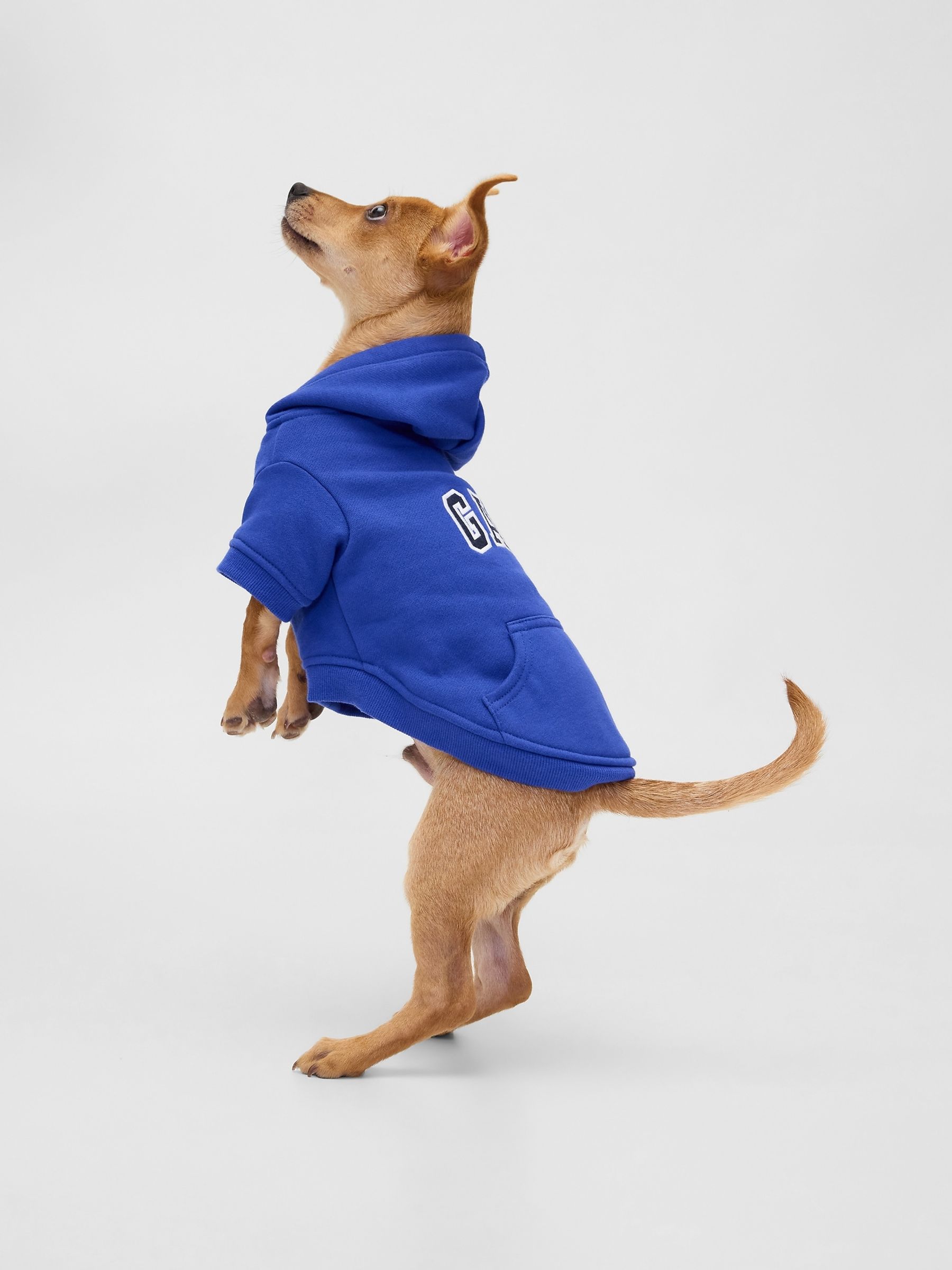 Blue Logo Pet Hoodie - Image 3 of 3