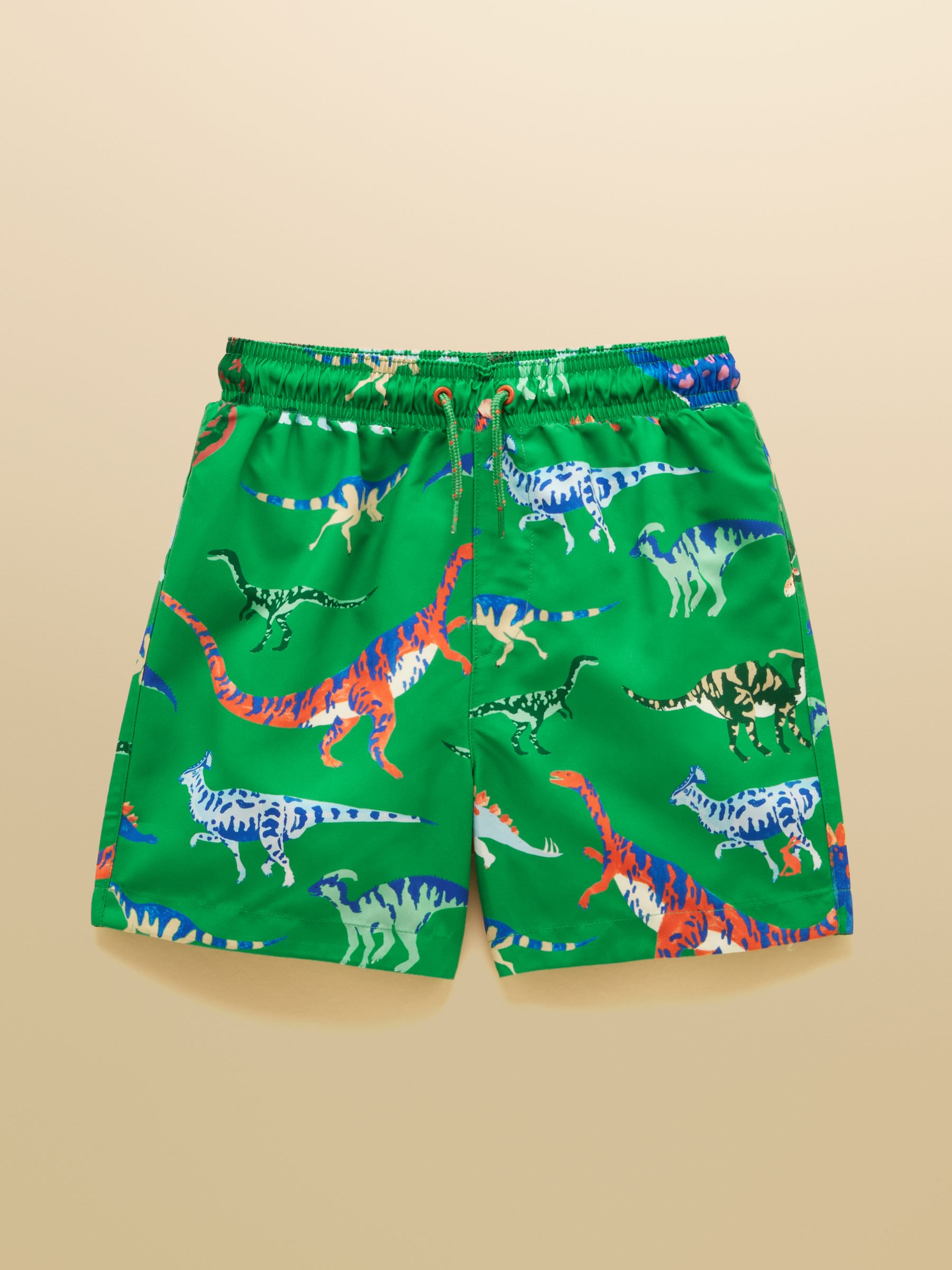 Boys' Ocean Green Dino Printed Swim Shorts - Image 1 of 4