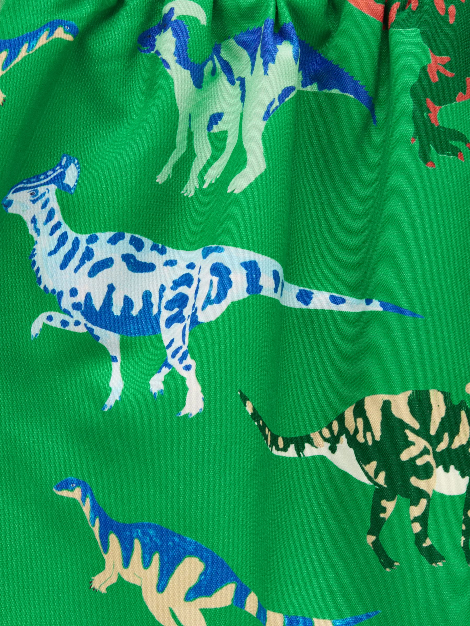 Boys' Ocean Green Dino Printed Swim Shorts - Image 4 of 4