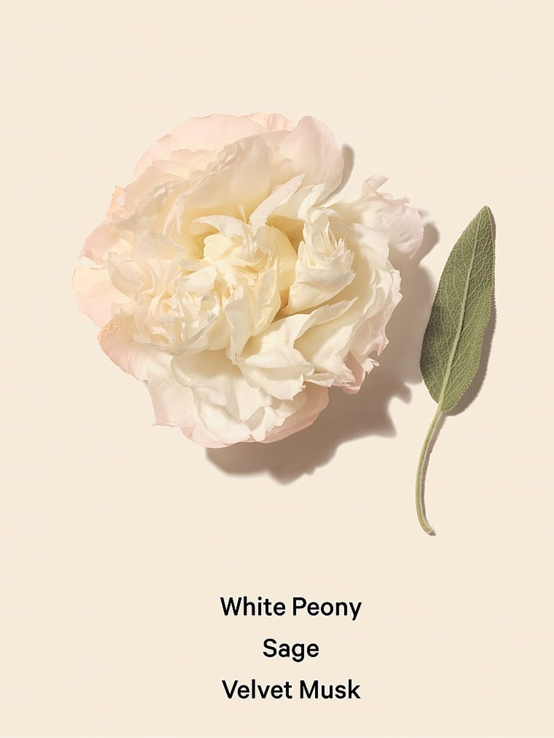 Bombshell Seduction 100ml Perfume - Image 3 of 3