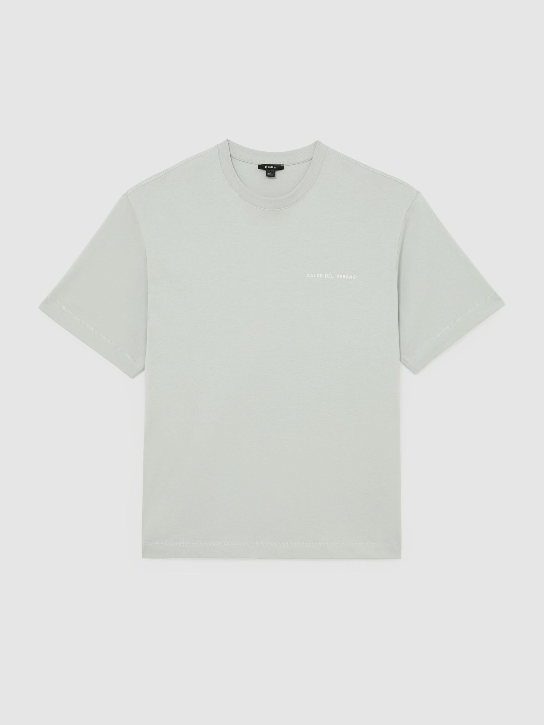 Cotton Logo Short-Sleeve Relaxed T-Shirt in Sage - image 1