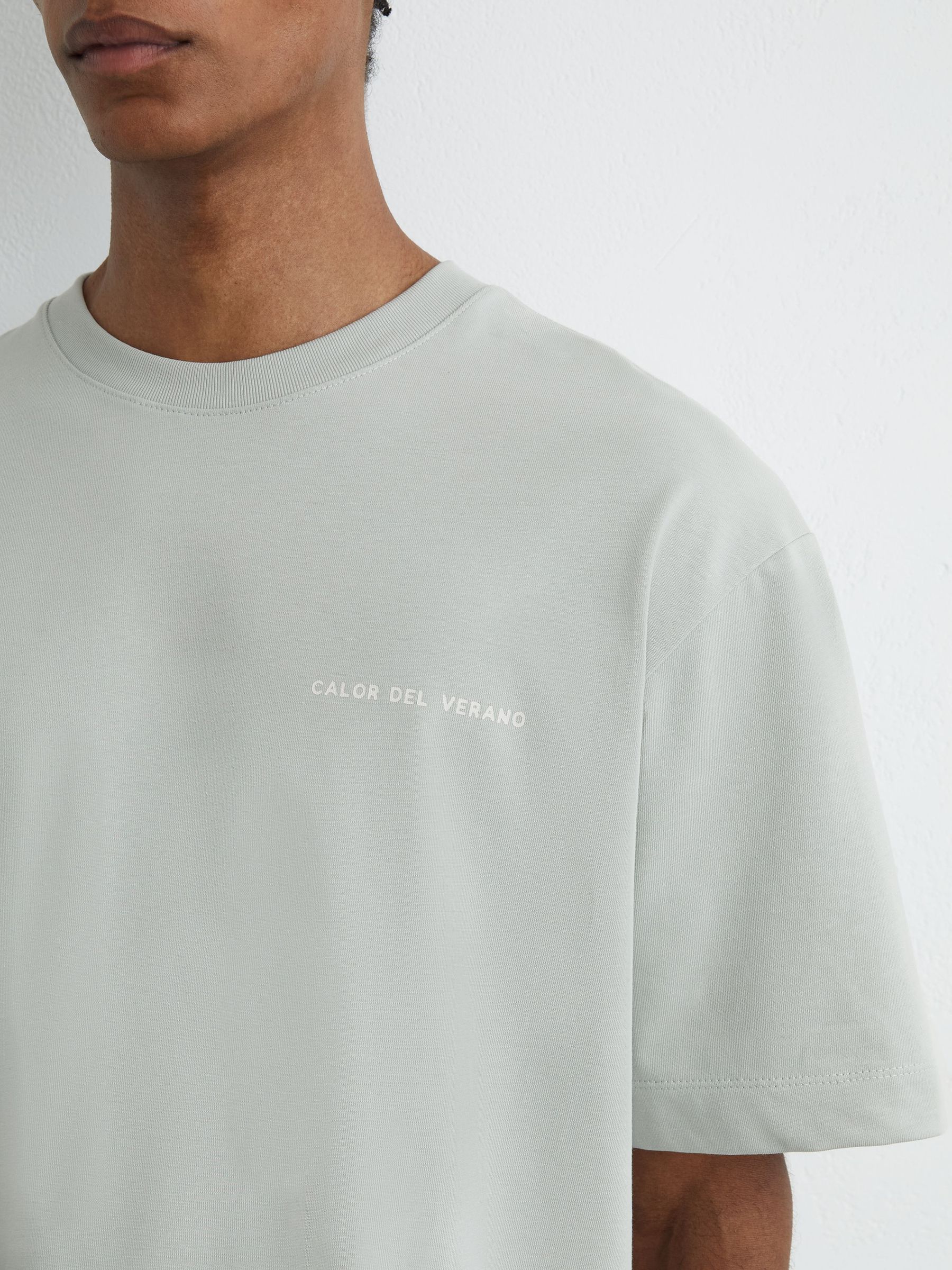 Cotton Logo Short-Sleeve Relaxed T-Shirt in Sage - image 4