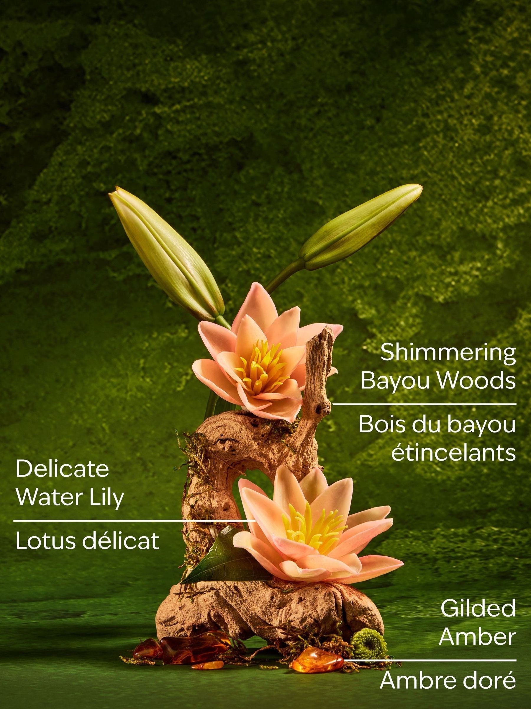 Tiana Gentle & Clean Foaming Hand Soap 259ml - Image 3 of 4