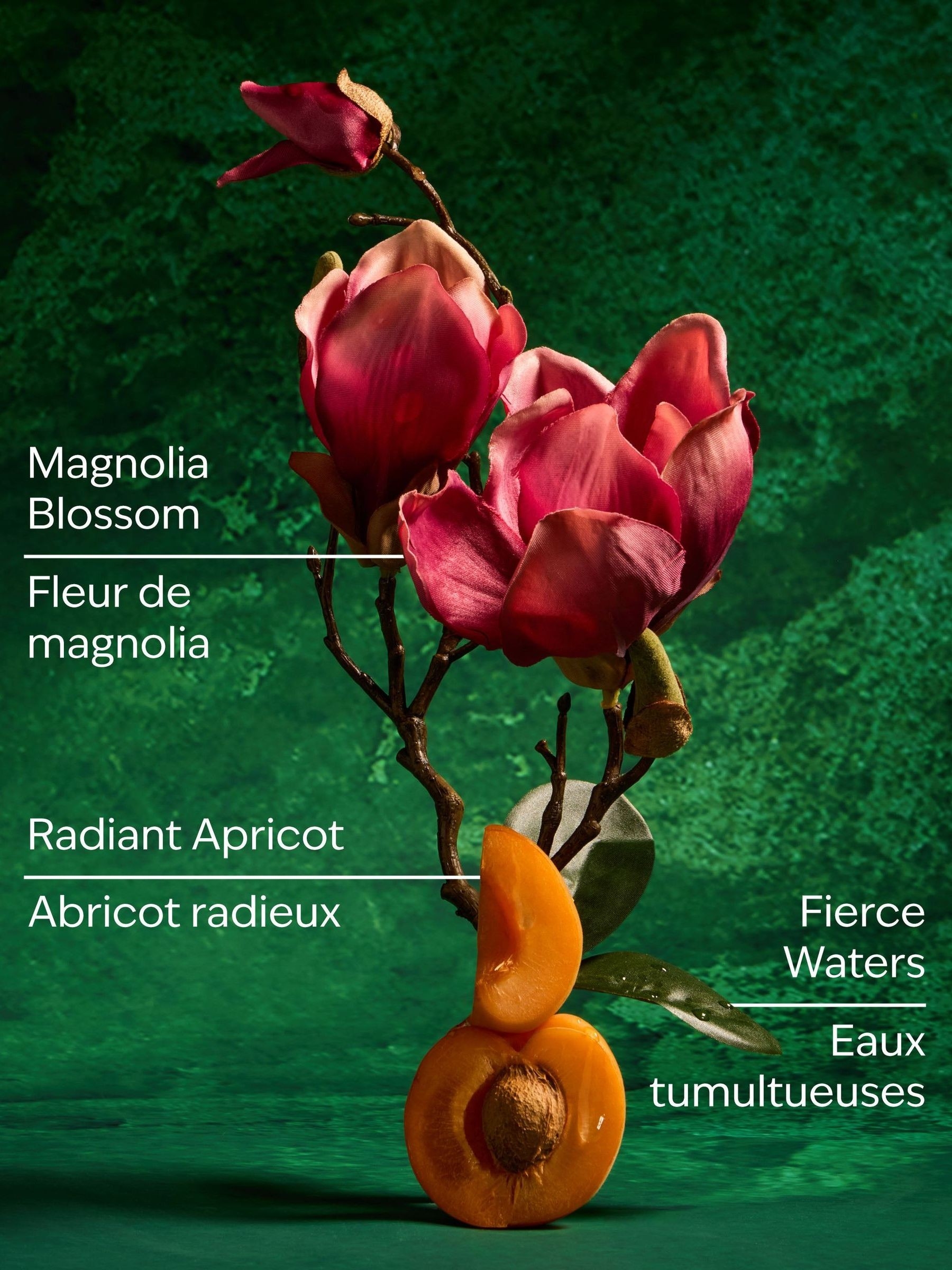 Mulan Gentle & Clean Foaming Hand Soap 259ml - Image 3 of 4