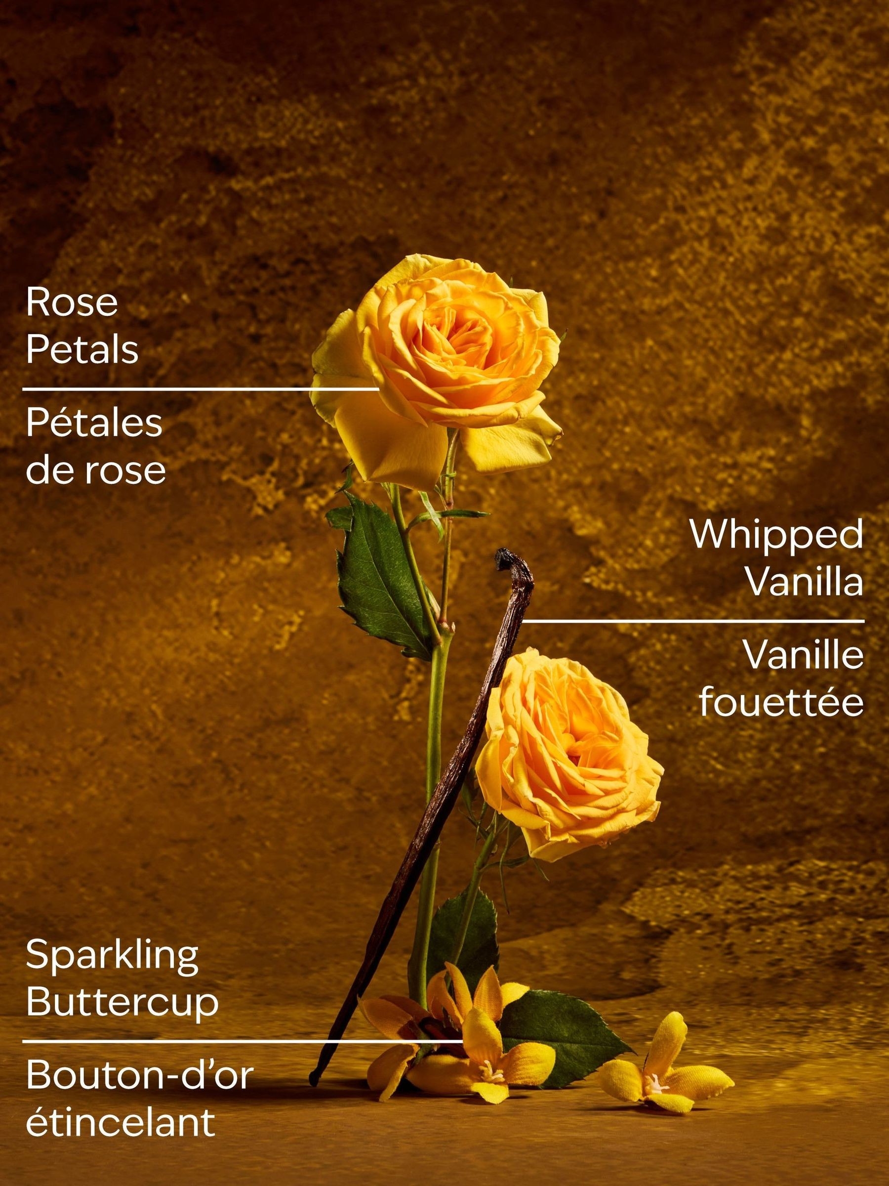 Belle Fine Fragrance Mist 236ml - Image 3 of 4